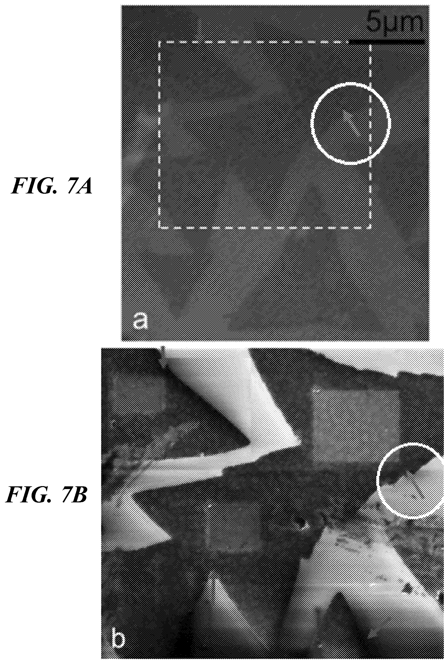 Patent US11832535 Figure 8 – Two dimensional materials for use in ultra high density information storage and sensor devices