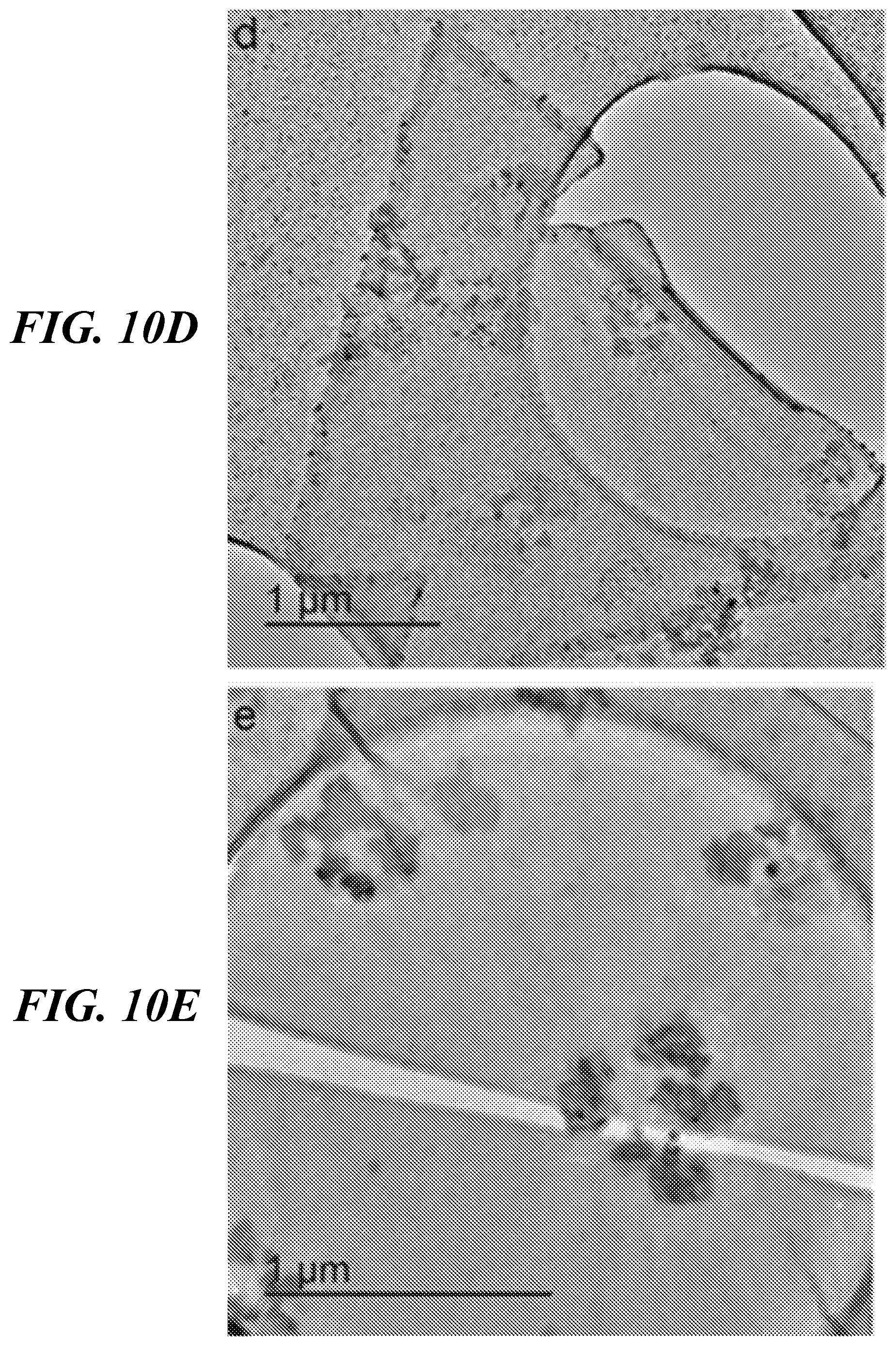 Patent US11832535 Figure 14 – Two dimensional materials for use in ultra high density information storage and sensor devices