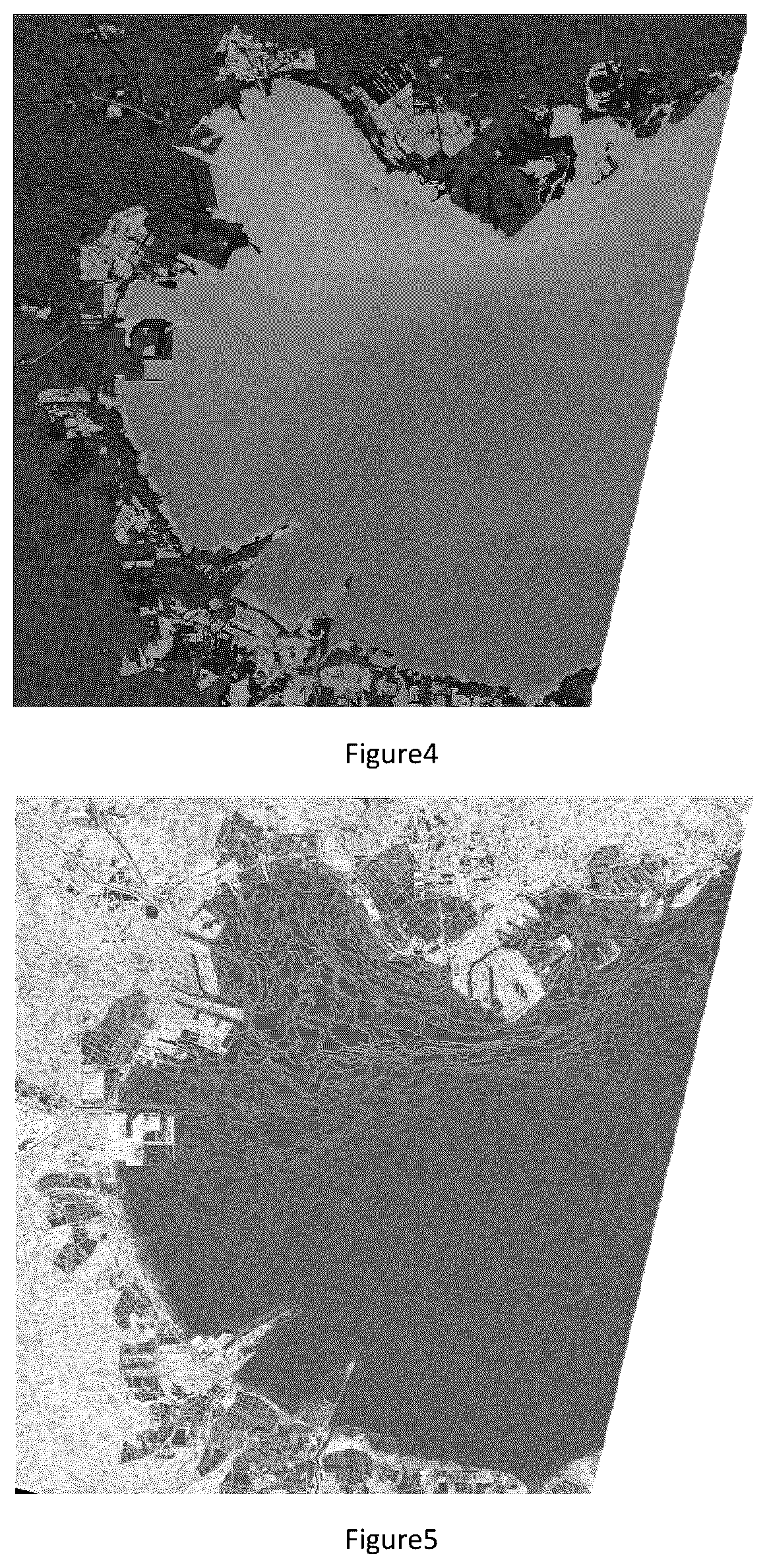Patent US11836976 Figure 3 – Method for recognizing seawater polluted area based on high-resolution remote sensing image and device