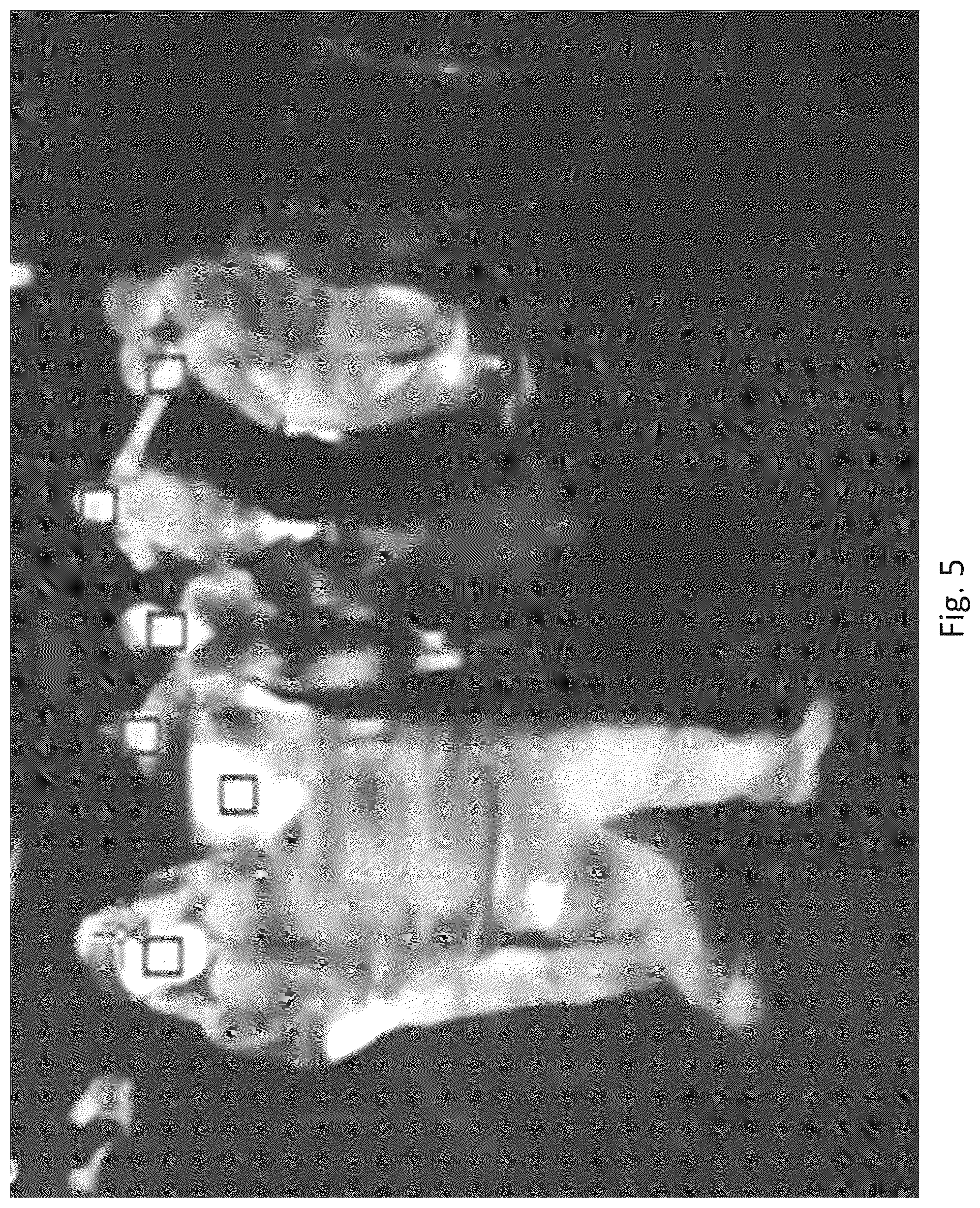 Patent US11836984 Figure 6 – Electronic device and method for counting objects