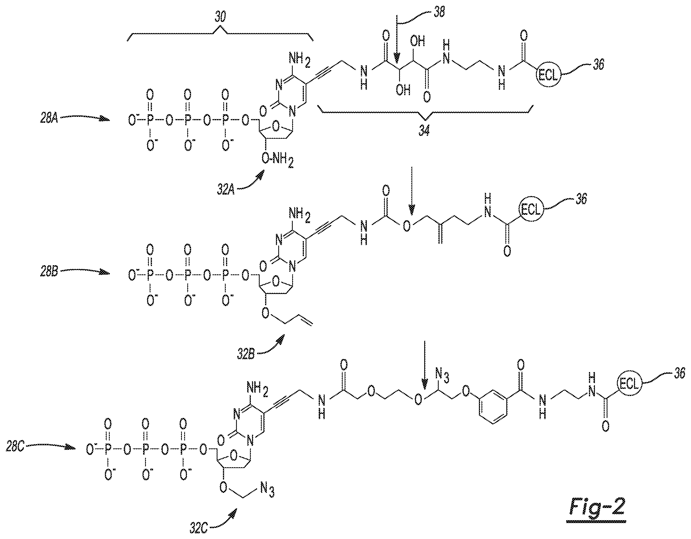 Patent US11841310 Figure 2 – Flow cells and sequencing kits
