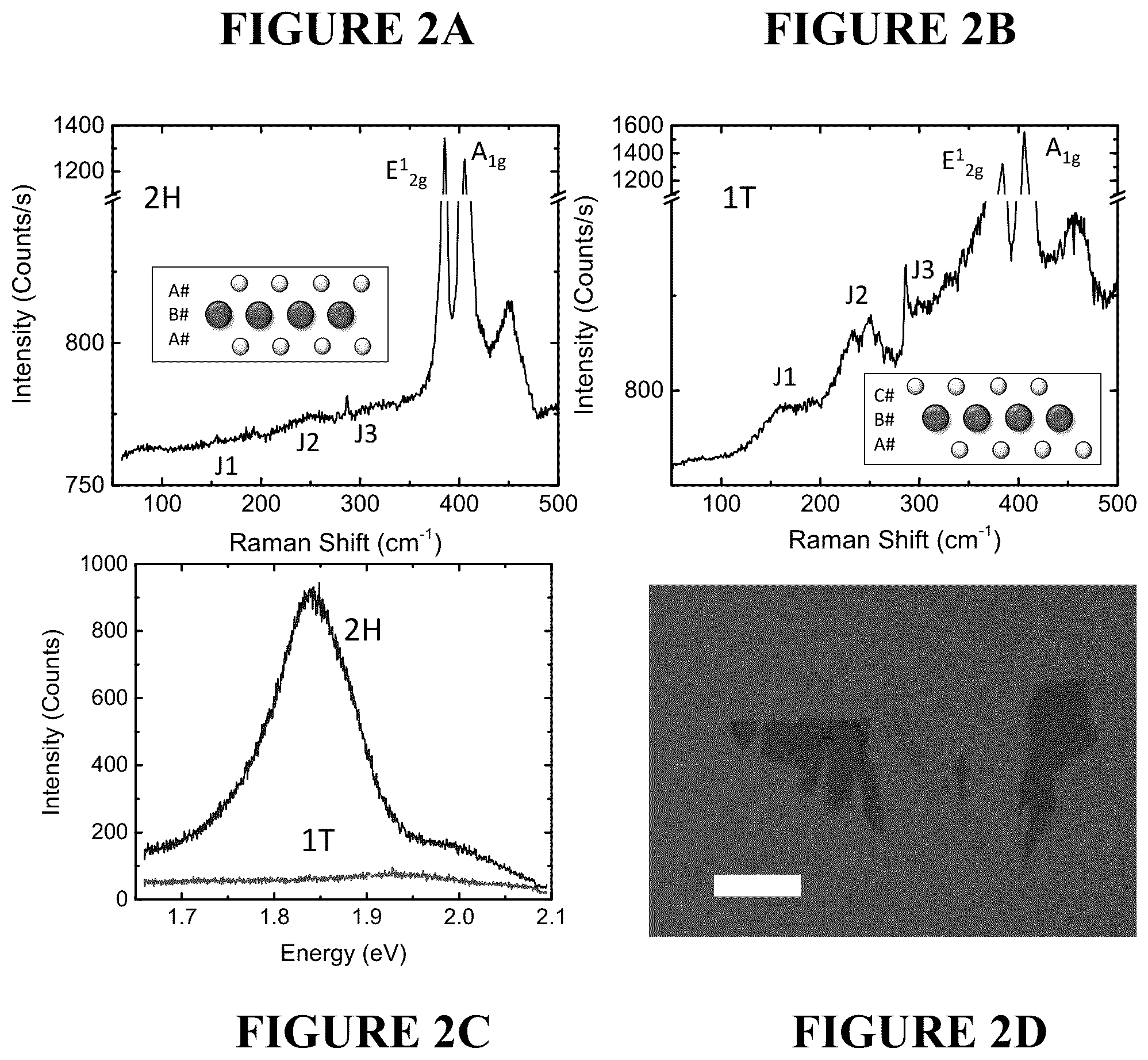 Patent US11841338 Figure 2 – 2H to 1T phase based transition metal dichalcogenide sensor for optical and electronic detection of strong electron donor chemical vapors