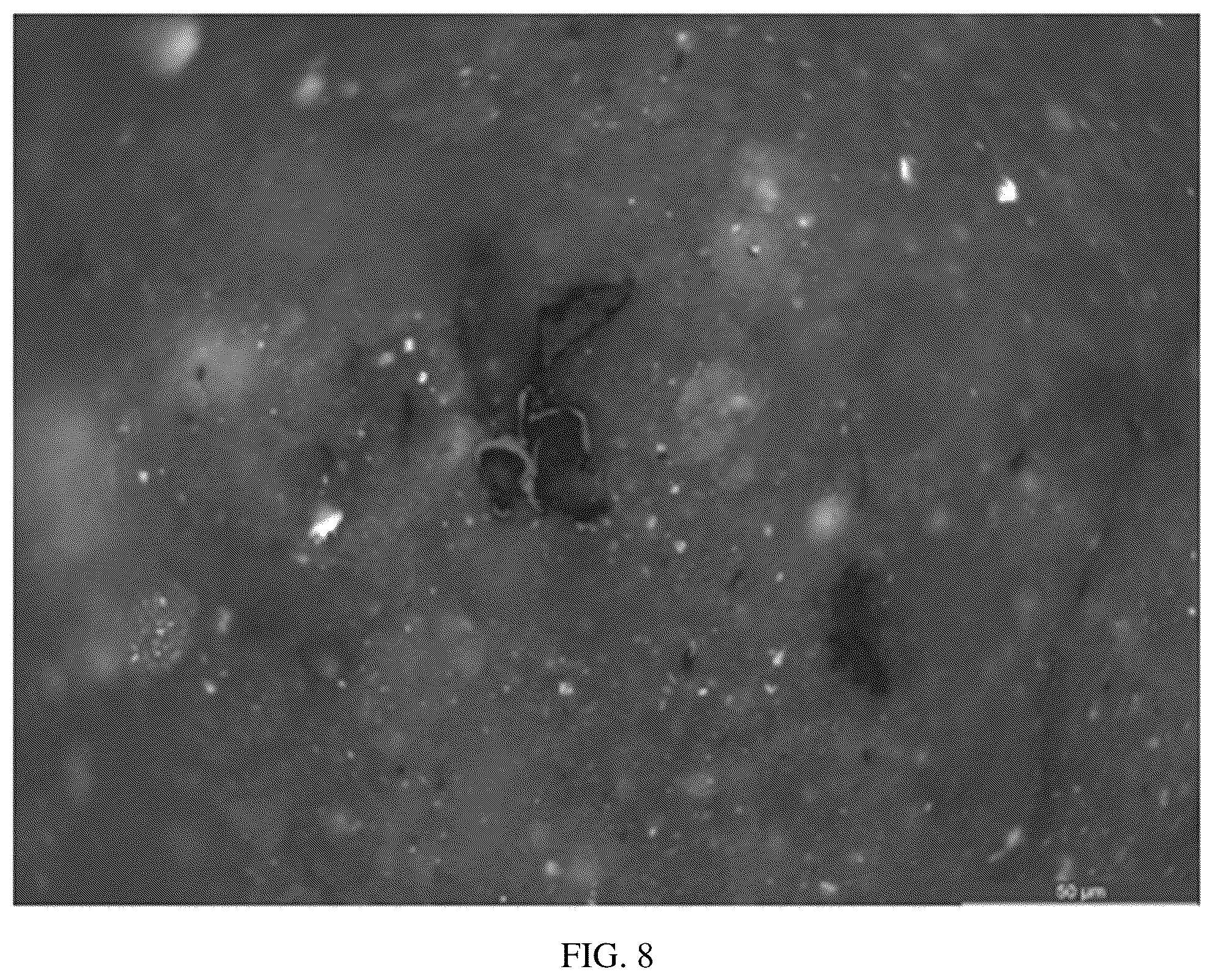Patent US11841355 Figure 8 – Intelligent quantitative microscopic identification system and intelligent identification method for whole rock polished sections