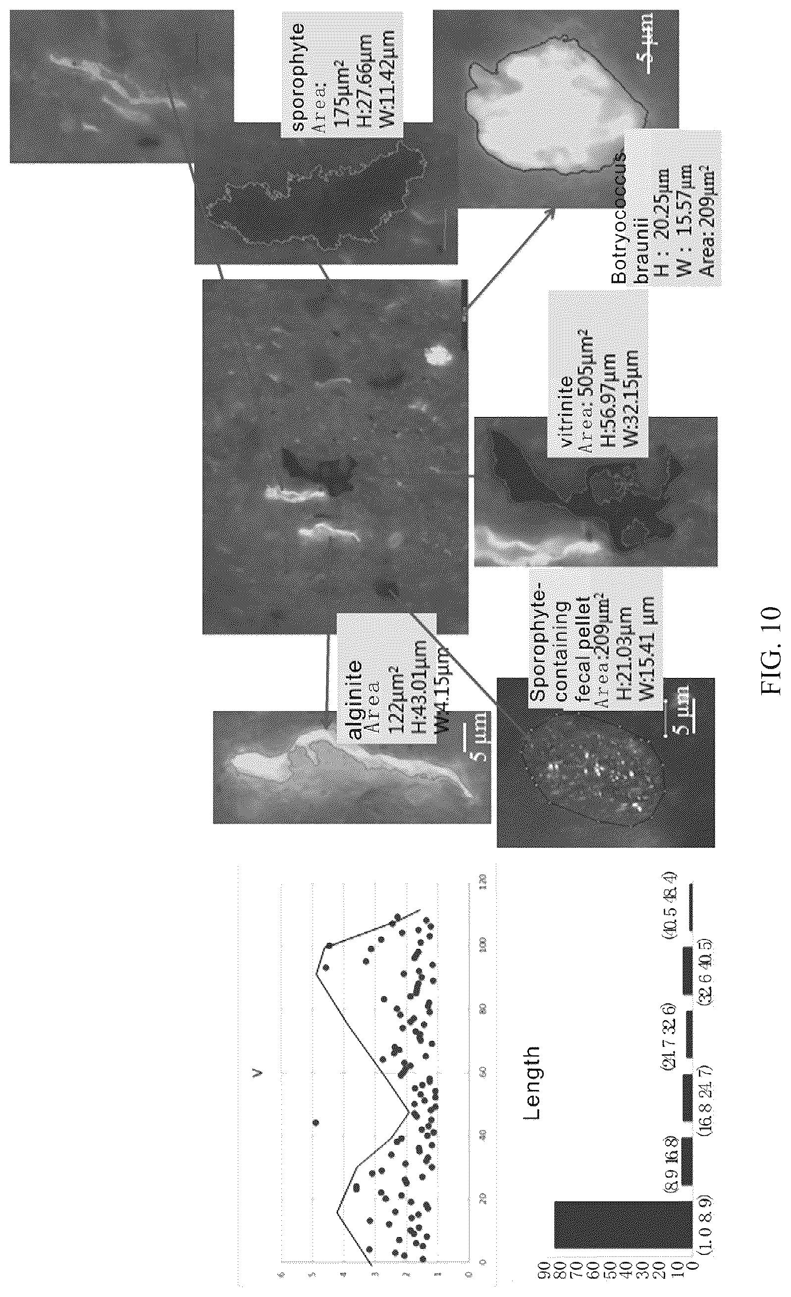Patent US11841355 Figure 10 – Intelligent quantitative microscopic identification system and intelligent identification method for whole rock polished sections
