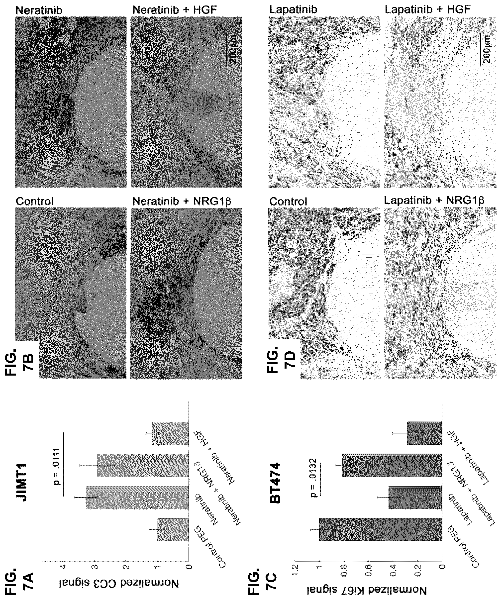 Patent US11841360 Figure 10 – Systems, devices, and methods for ex vivo assessment of responses to multiple therapeutic agents