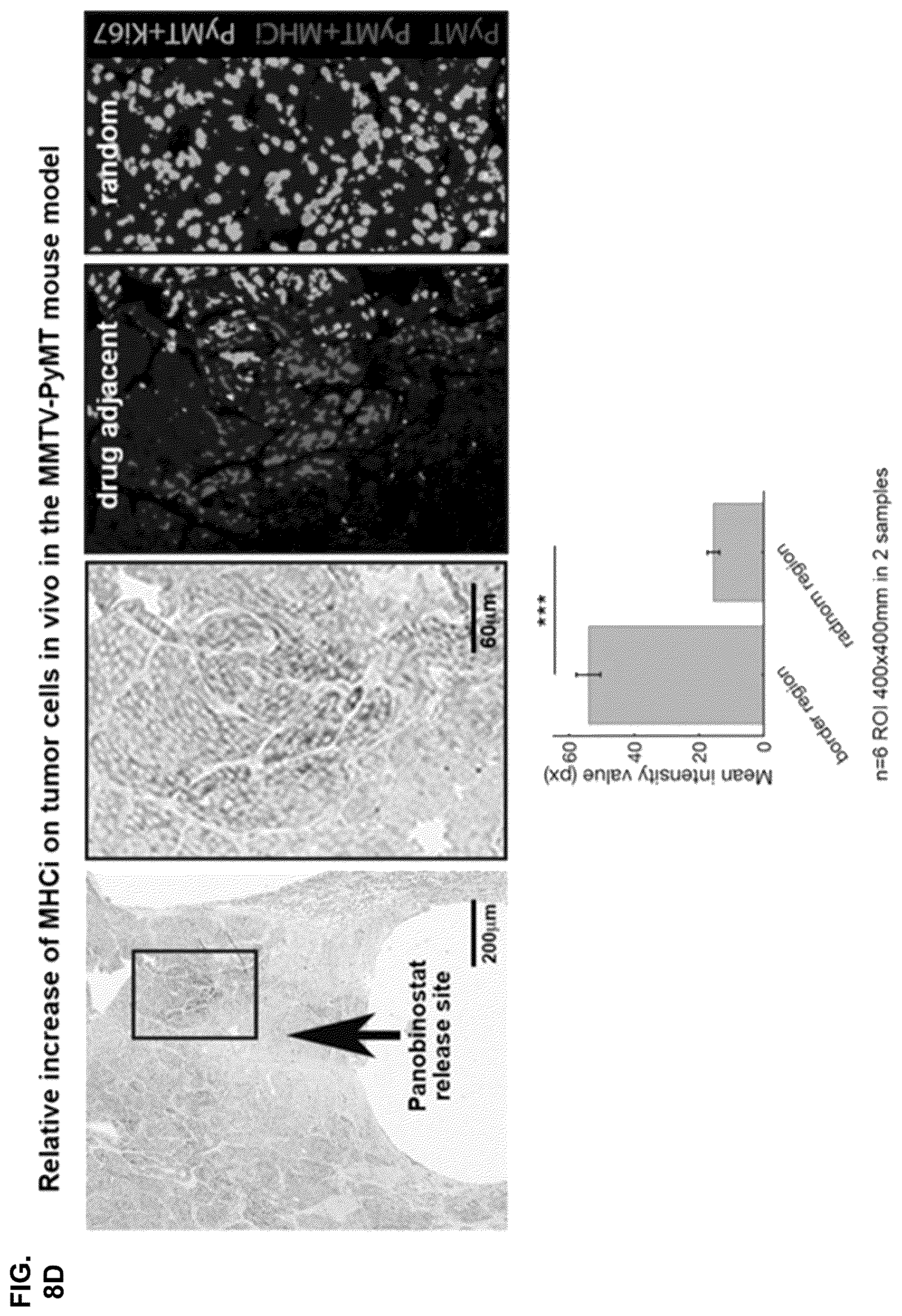 Patent US11841360 Figure 14 – Systems, devices, and methods for ex vivo assessment of responses to multiple therapeutic agents