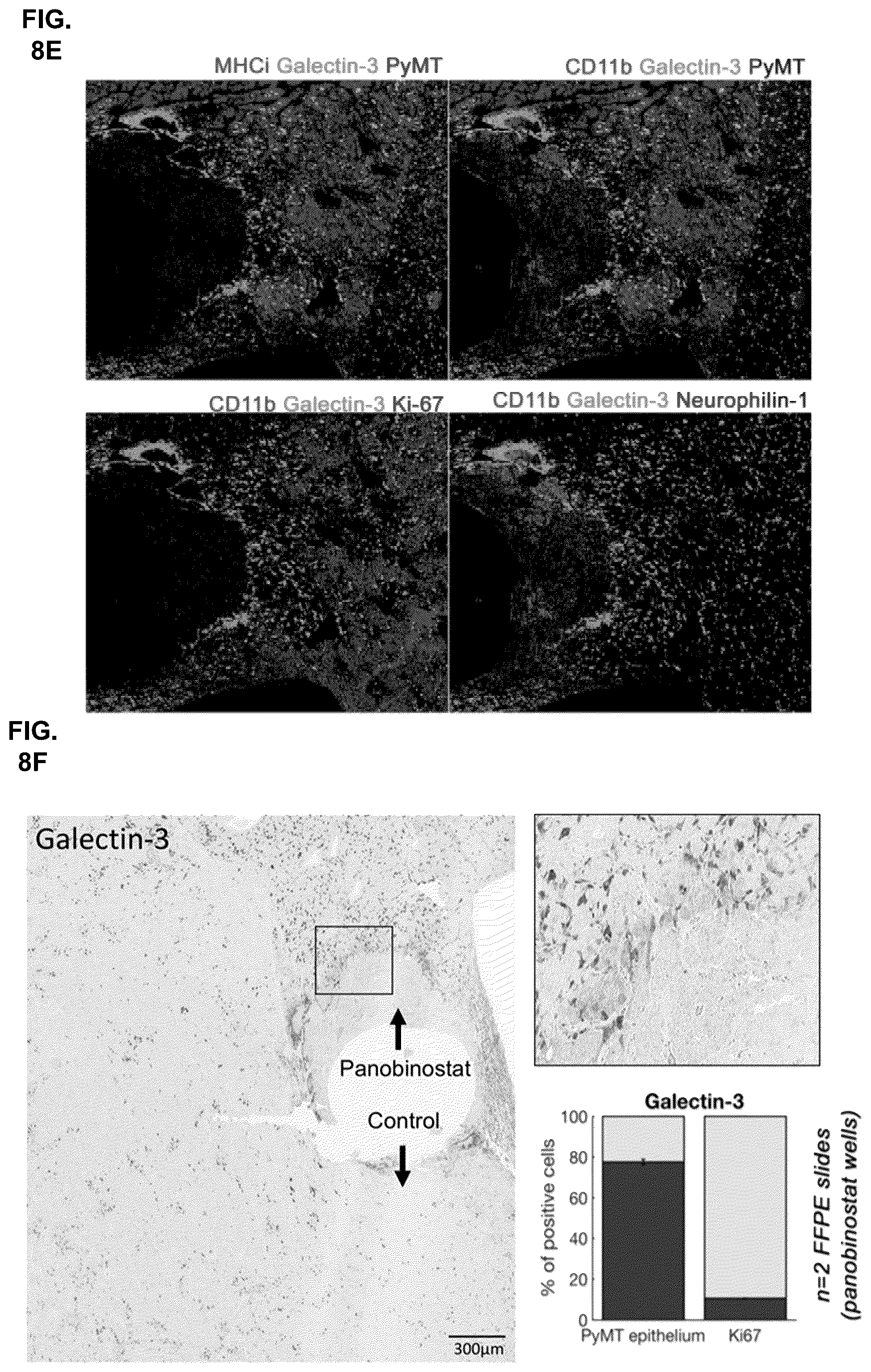 Patent US11841360 Figure 15 – Systems, devices, and methods for ex vivo assessment of responses to multiple therapeutic agents