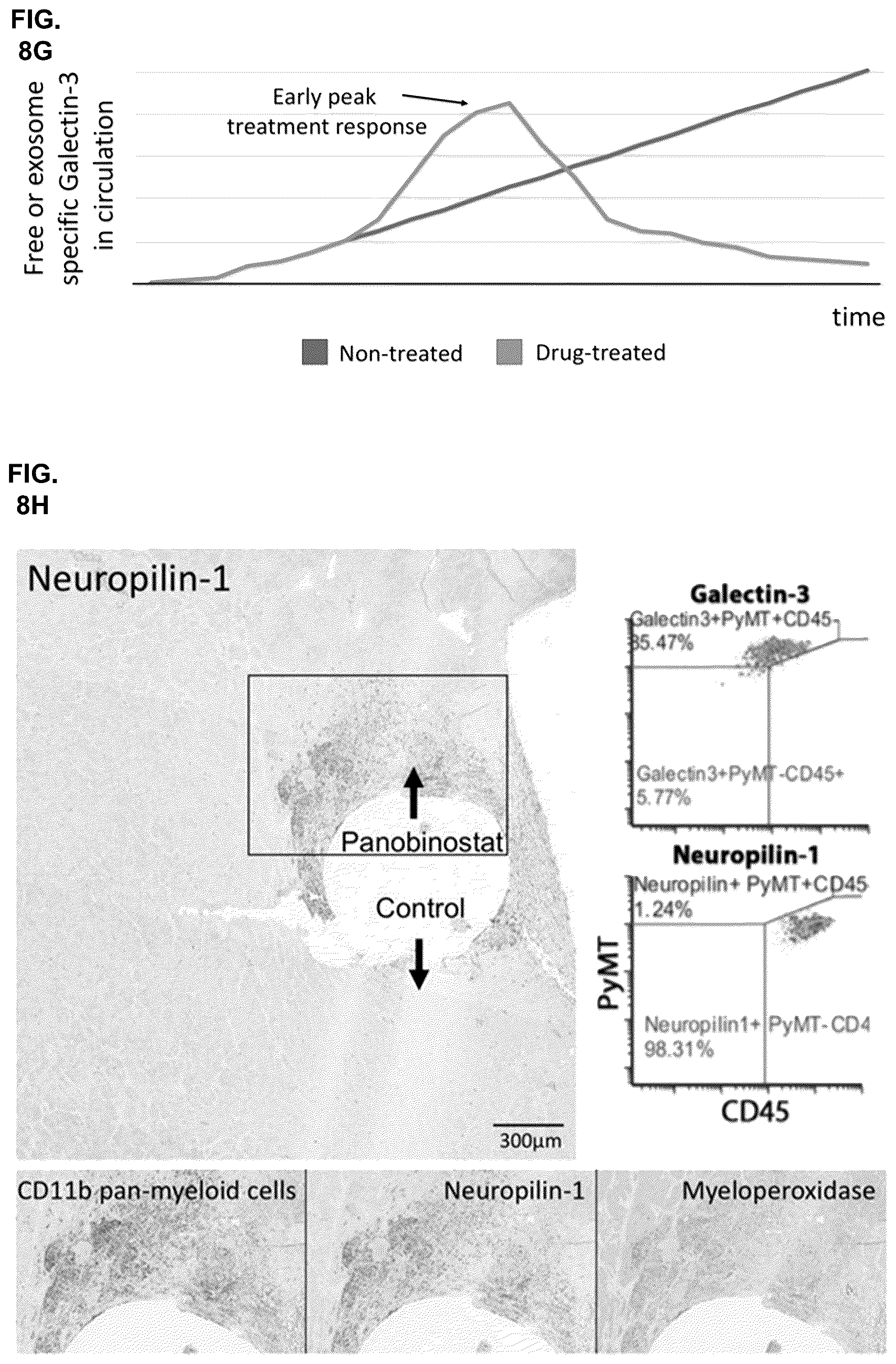 Patent US11841360 Figure 16 – Systems, devices, and methods for ex vivo assessment of responses to multiple therapeutic agents