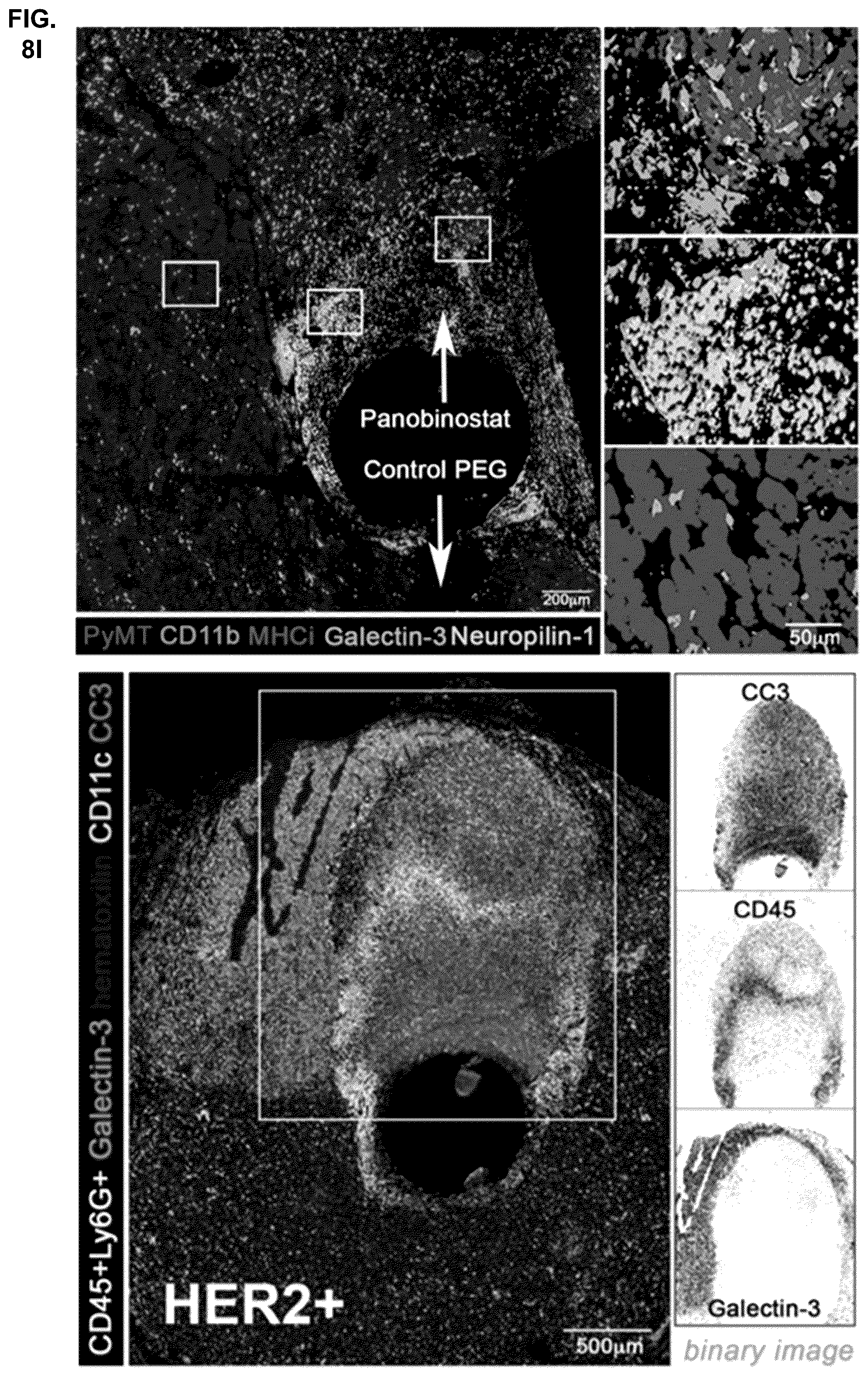 Patent US11841360 Figure 17 – Systems, devices, and methods for ex vivo assessment of responses to multiple therapeutic agents