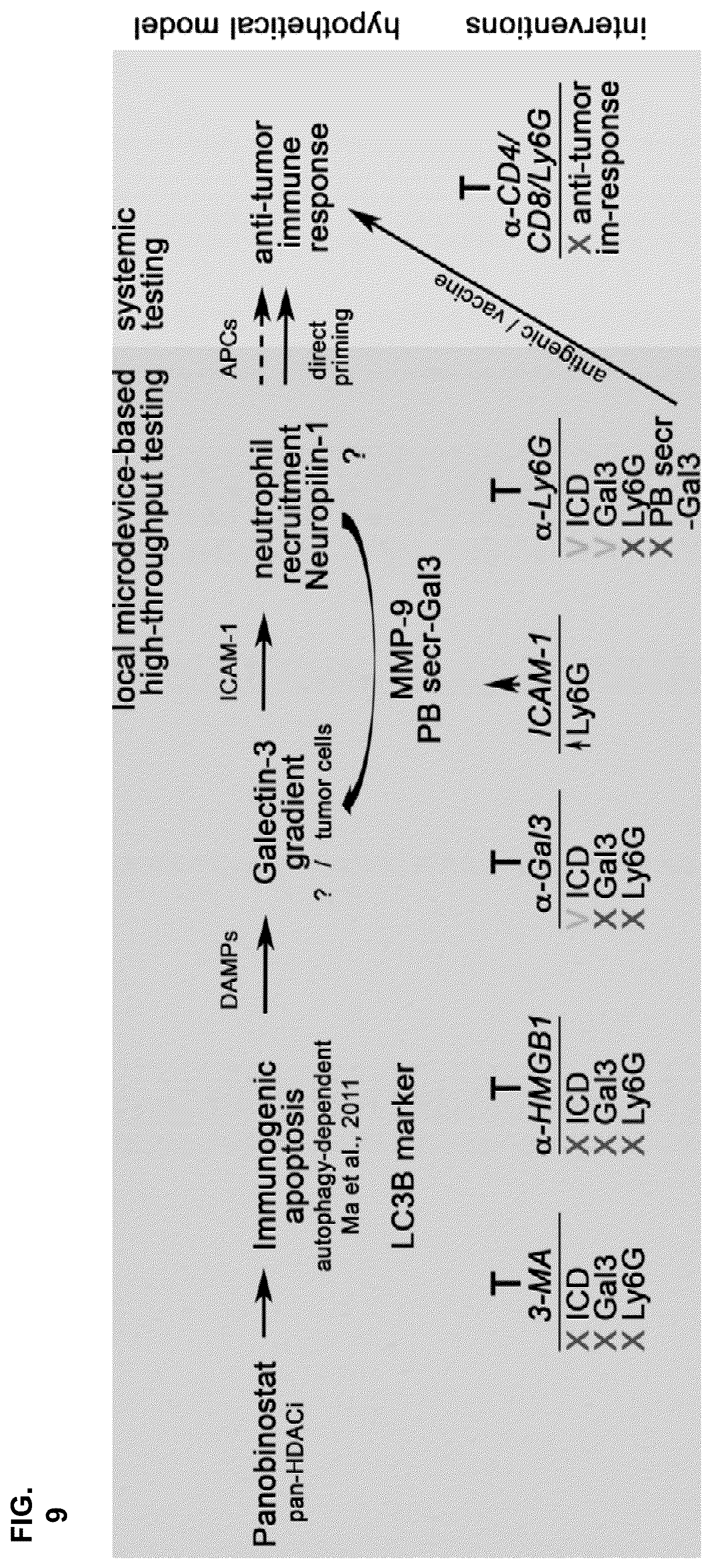 Patent US11841360 Figure 19 – Systems, devices, and methods for ex vivo assessment of responses to multiple therapeutic agents