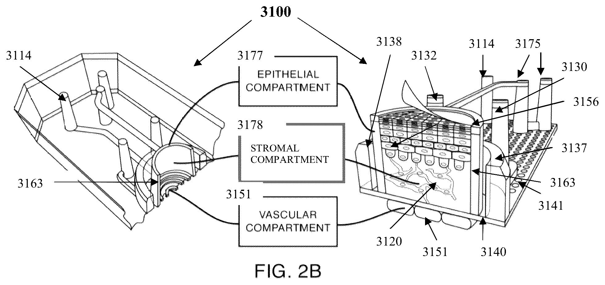 Patent US11841361 Figure 5 – Microfluidic proximal tubule kidney-on-chip