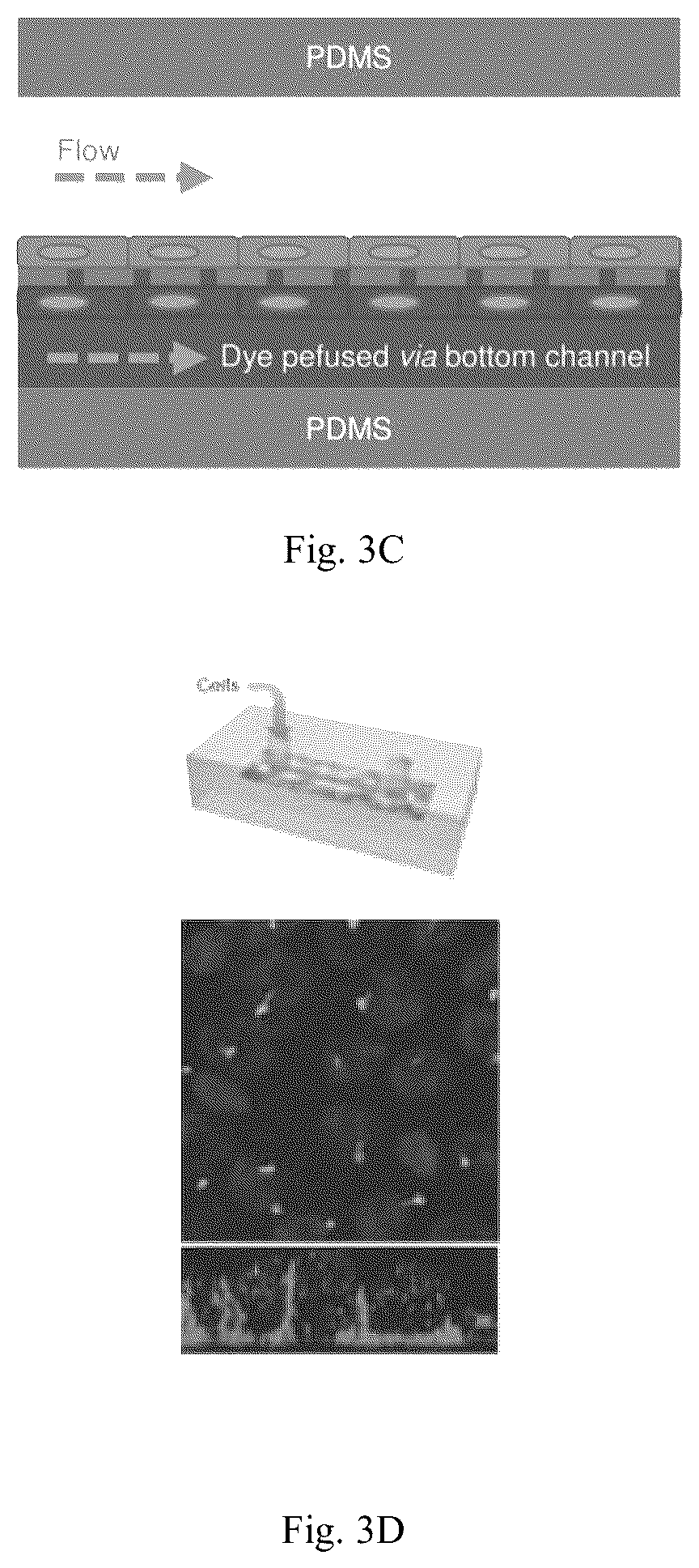 Patent US11841361 Figure 7 – Microfluidic proximal tubule kidney-on-chip