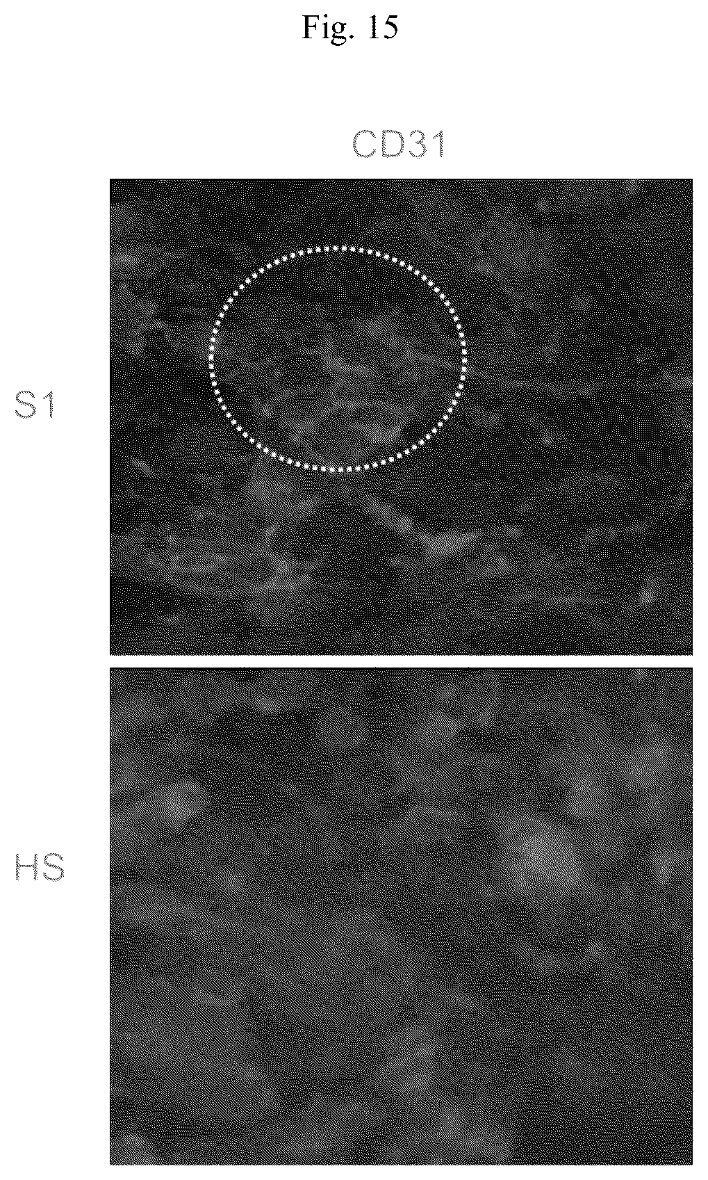 Patent US11841361 Figure 20 – Microfluidic proximal tubule kidney-on-chip