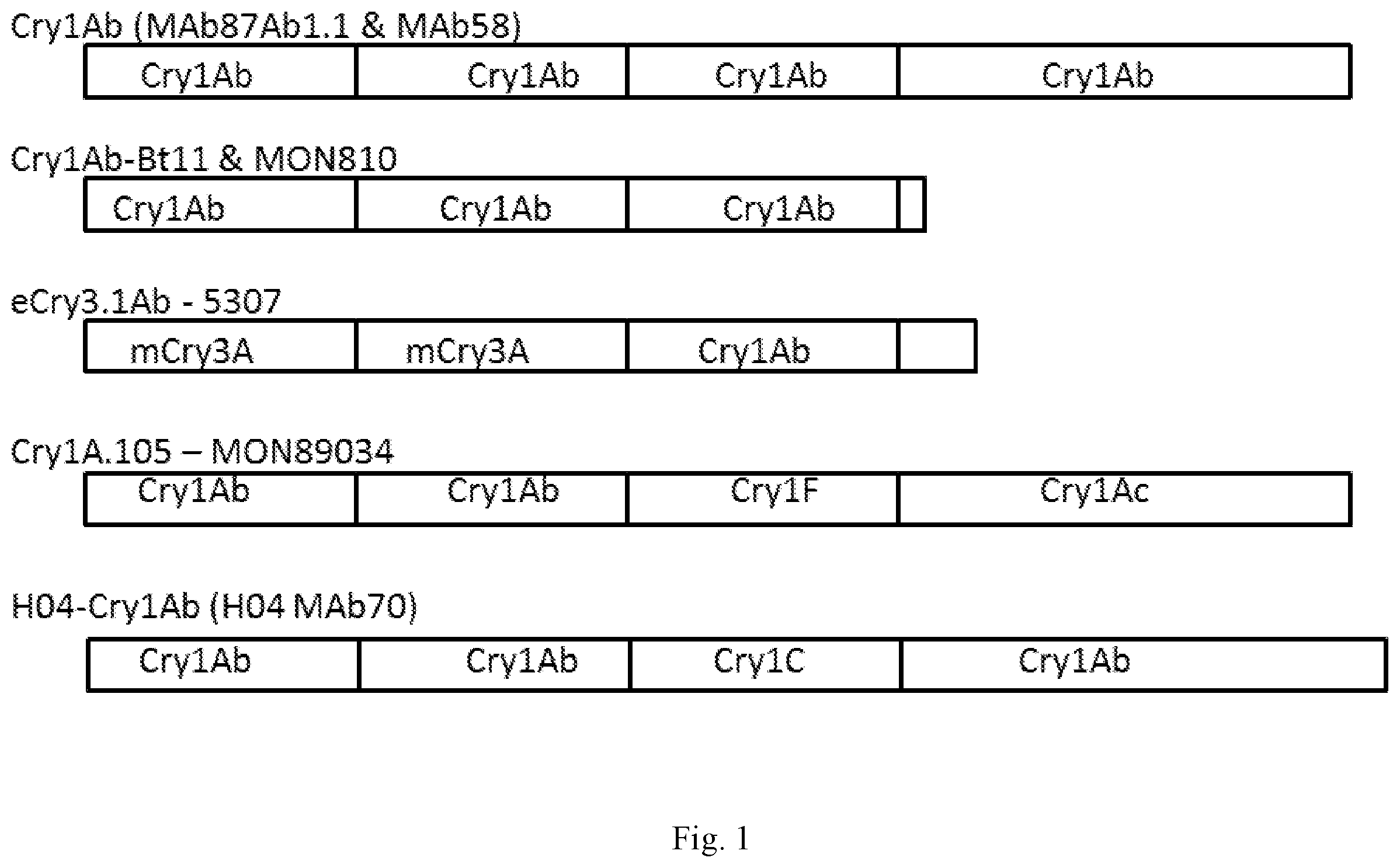 Patent US11841366 Figure 1 – Compositions and methods for detection of wild type cry protein and a hybrid cry protein