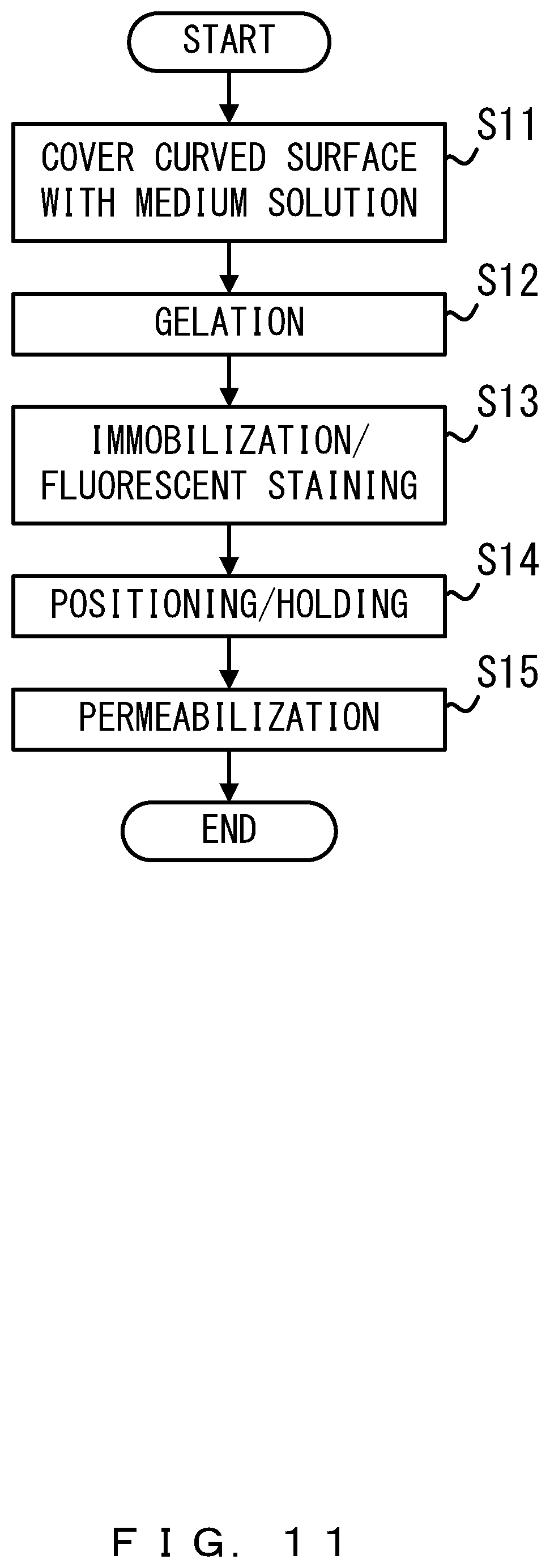 Patent US11841491 Figure 11 – Observation vessel, sample preparation method, and observation method