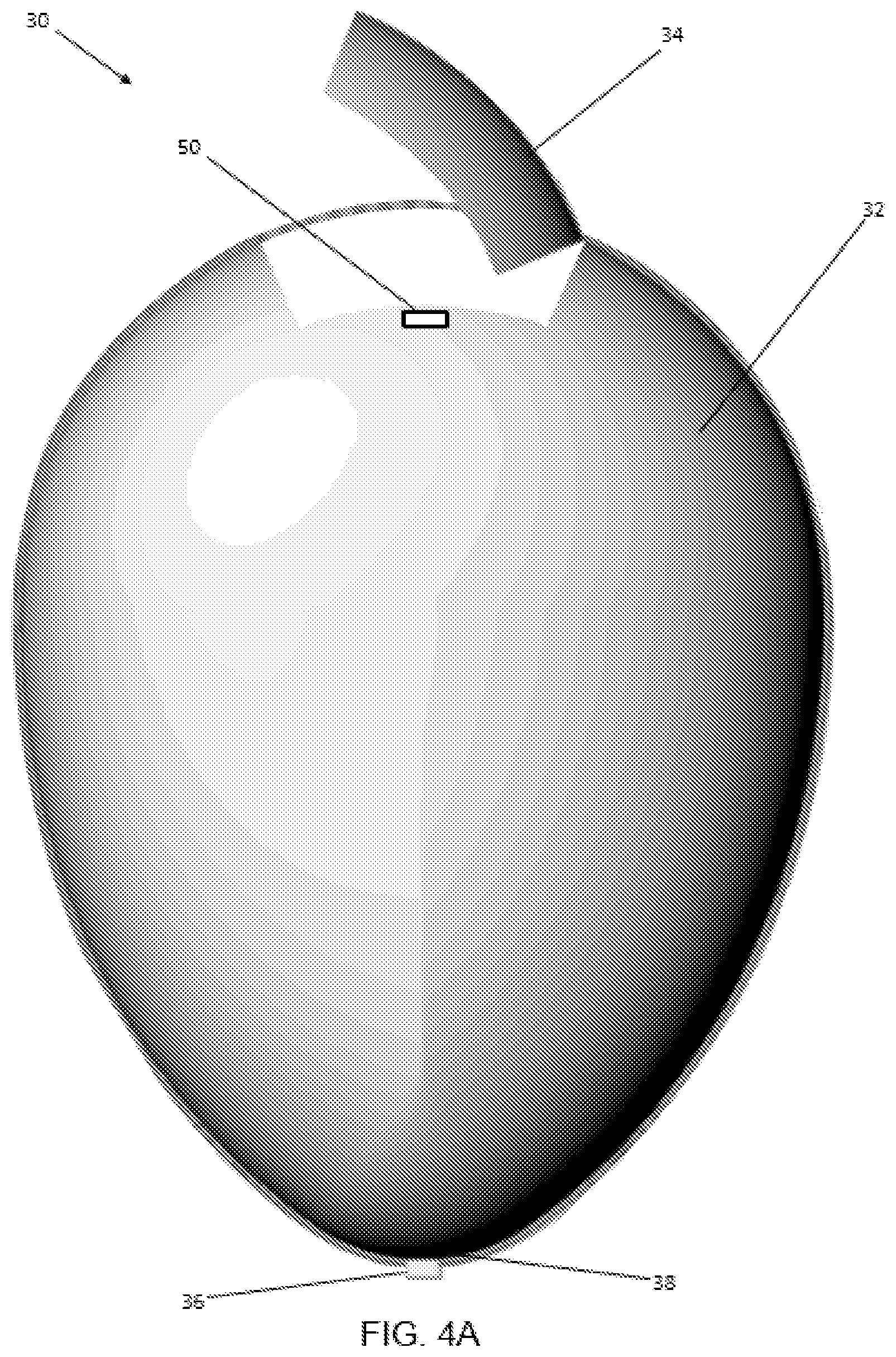 Patent US11841601 Figure 5 – Ovoid vehicle photographic booth