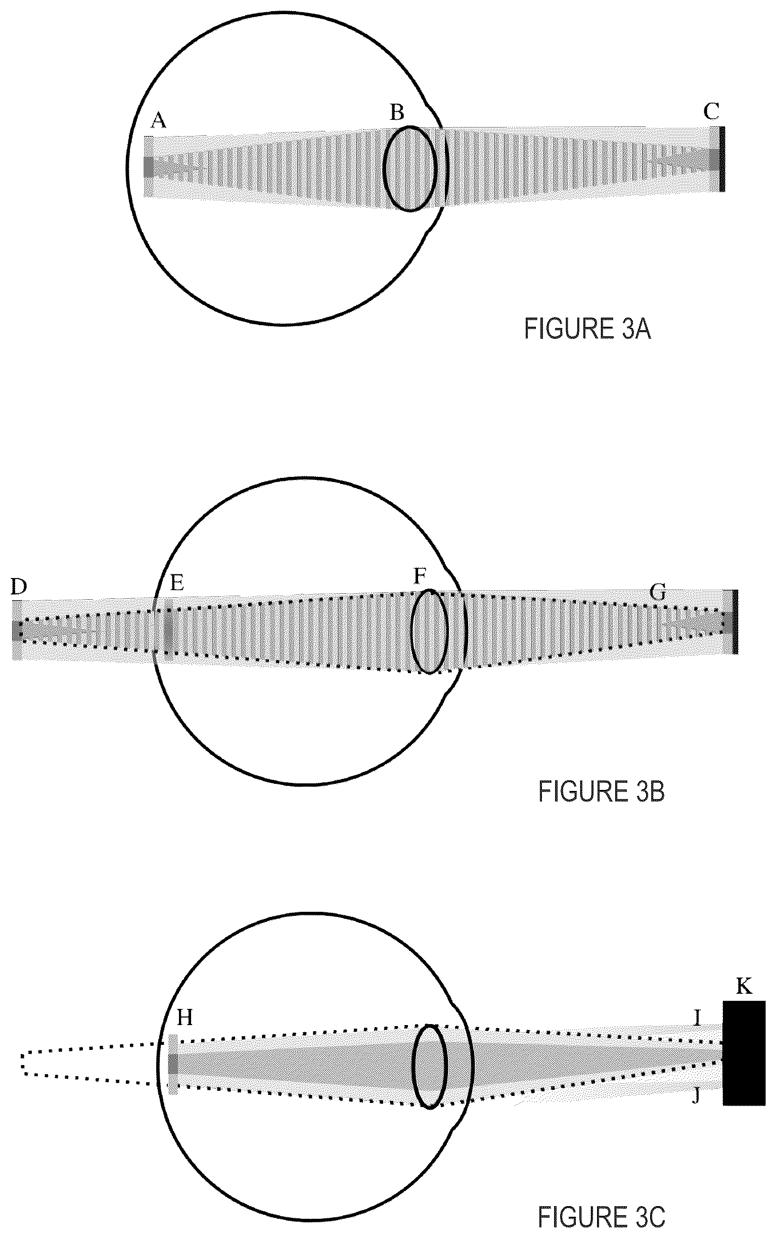 Patent US11841988 Figure 3 – Light field vision-based testing device, adjusted pixel rendering method therefor, and online vision-based testing management system and method using same