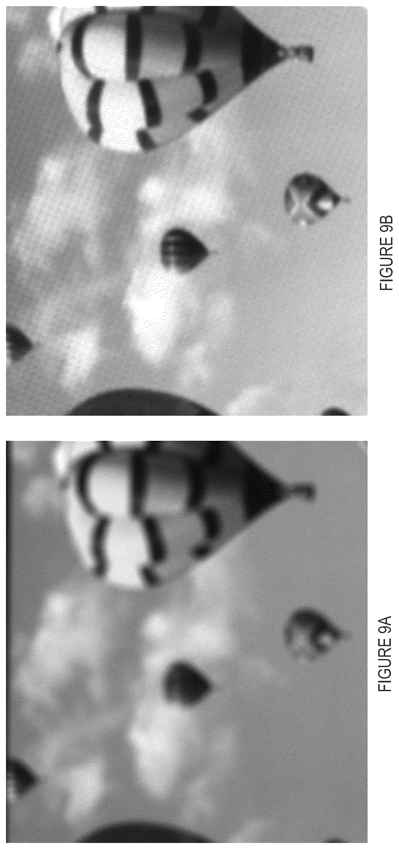 Patent US11841988 Figure 7 – Light field vision-based testing device, adjusted pixel rendering method therefor, and online vision-based testing management system and method using same