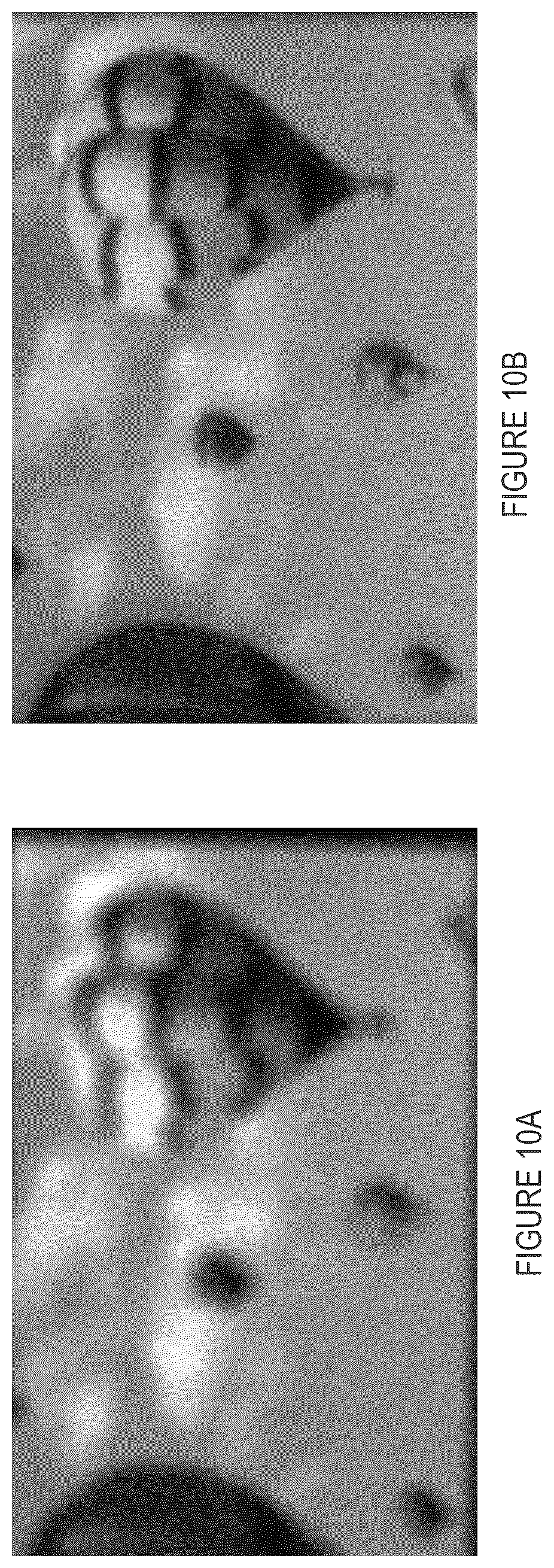 Patent US11841988 Figure 8 – Light field vision-based testing device, adjusted pixel rendering method therefor, and online vision-based testing management system and method using same