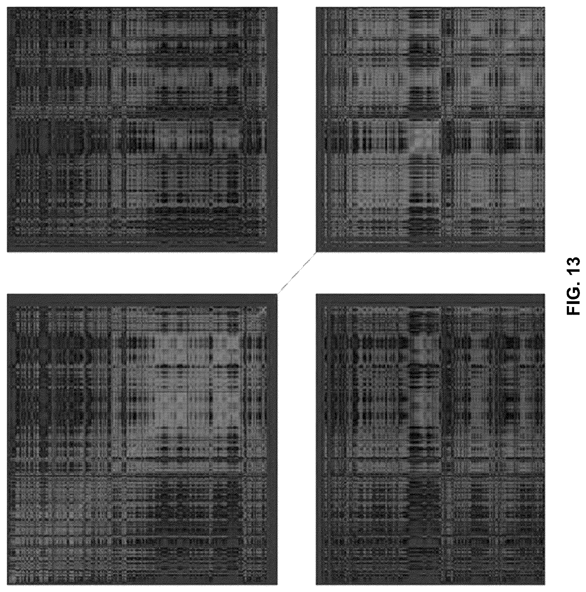 Patent US11847532 Figure 19 – Machine learning implementation for multi-analyte assay development and testing