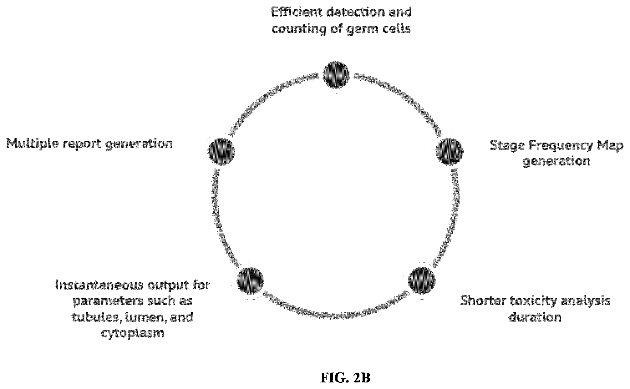 Patent US11847817 Figure 5 – Methods and systems for automated assessment of spermatogenesis