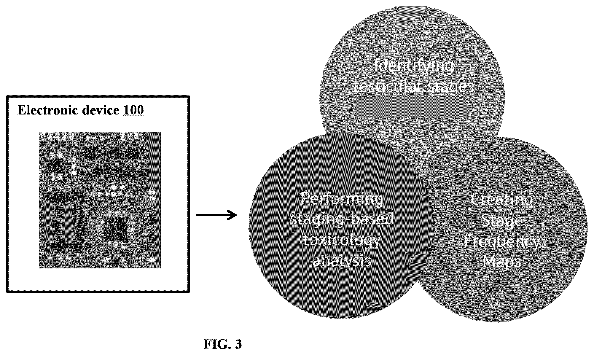 Patent US11847817 Figure 6 – Methods and systems for automated assessment of spermatogenesis