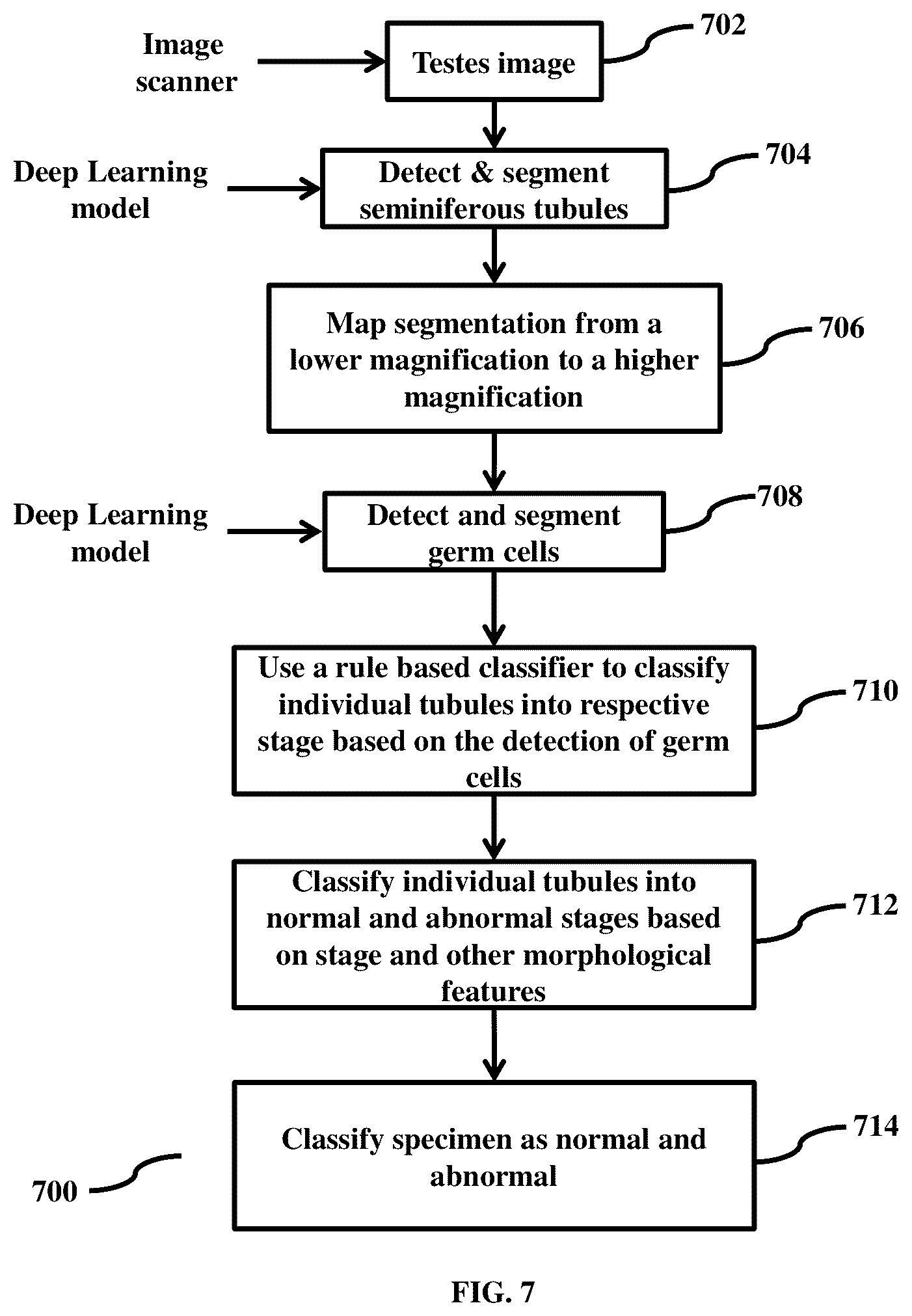 Patent US11847817 Figure 17 – Methods and systems for automated assessment of spermatogenesis