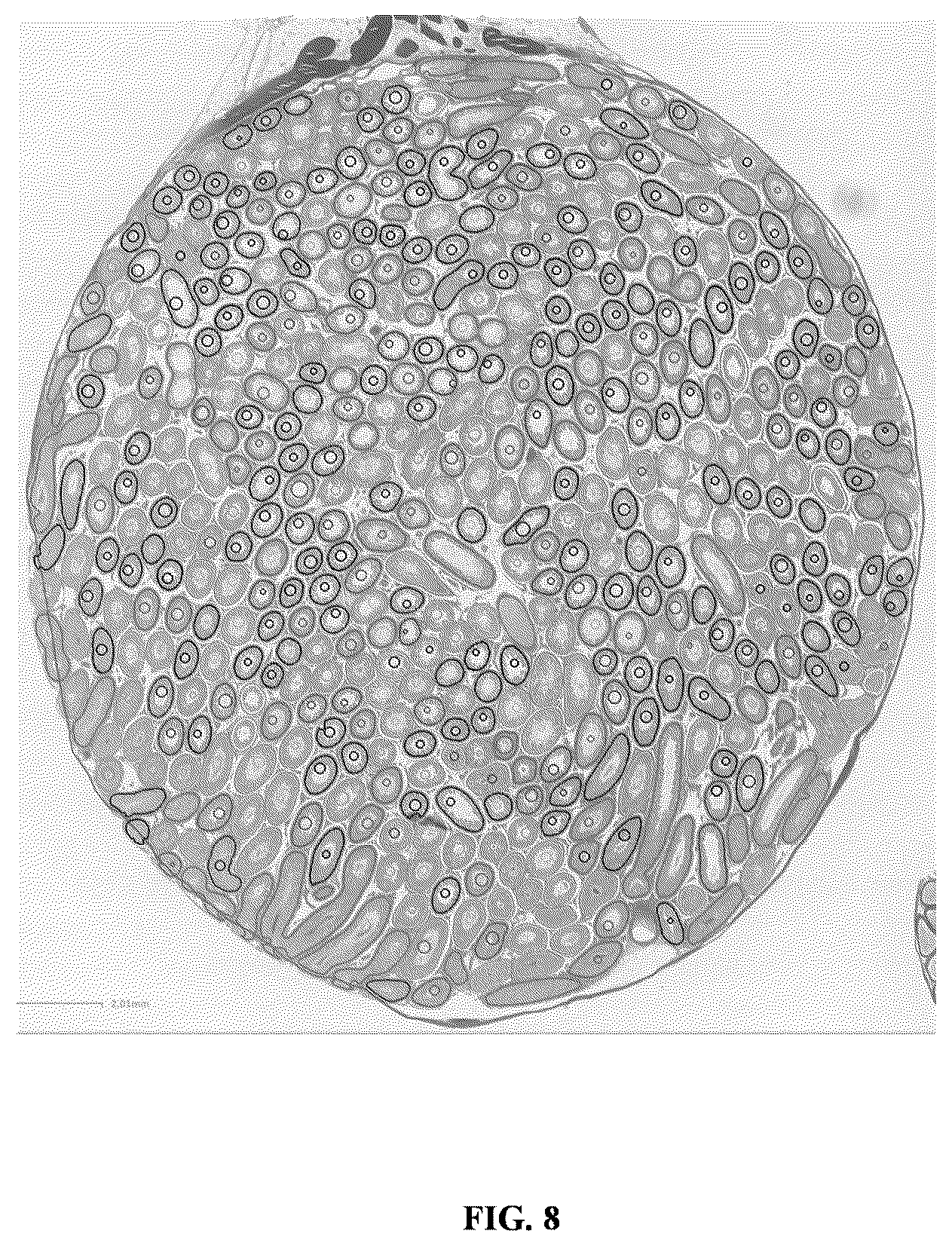 Patent US11847817 Figure 18 – Methods and systems for automated assessment of spermatogenesis