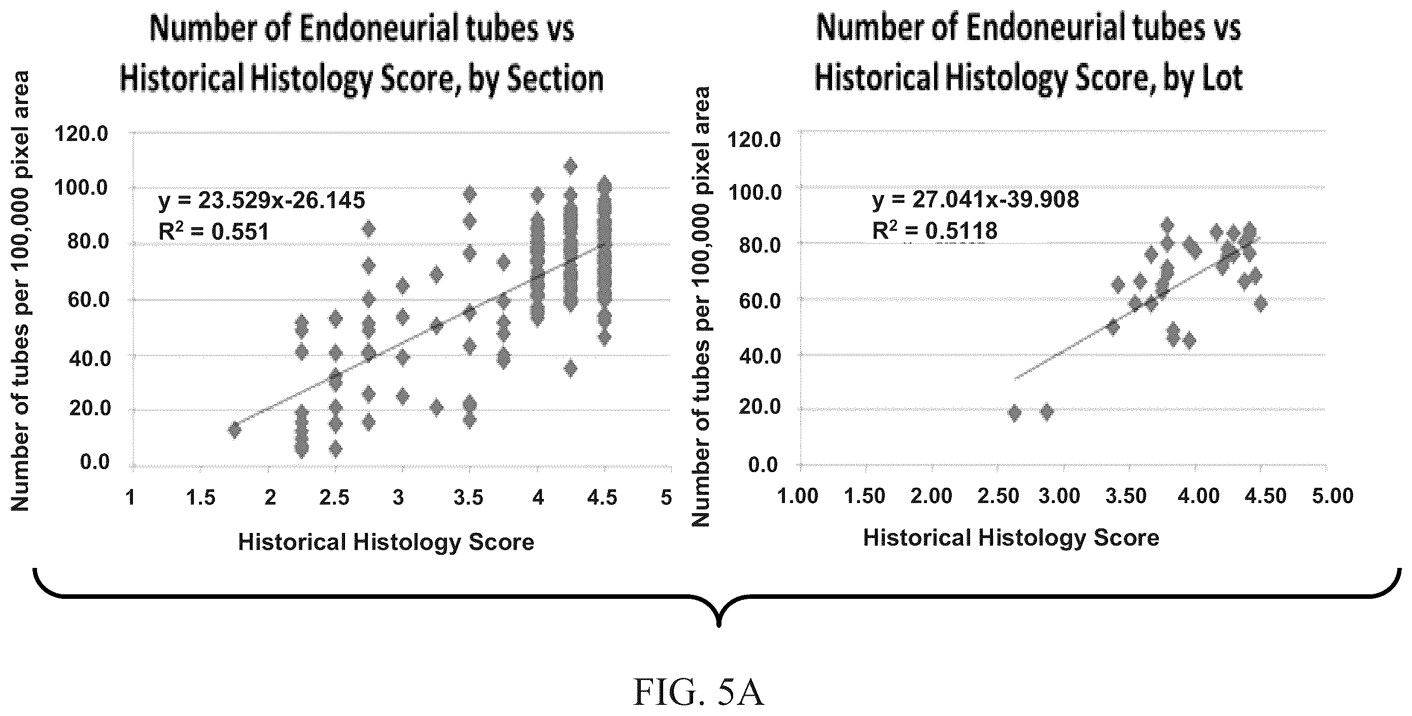 Patent US11847844 Figure 5 – Quantitative structural assay of a nerve graft