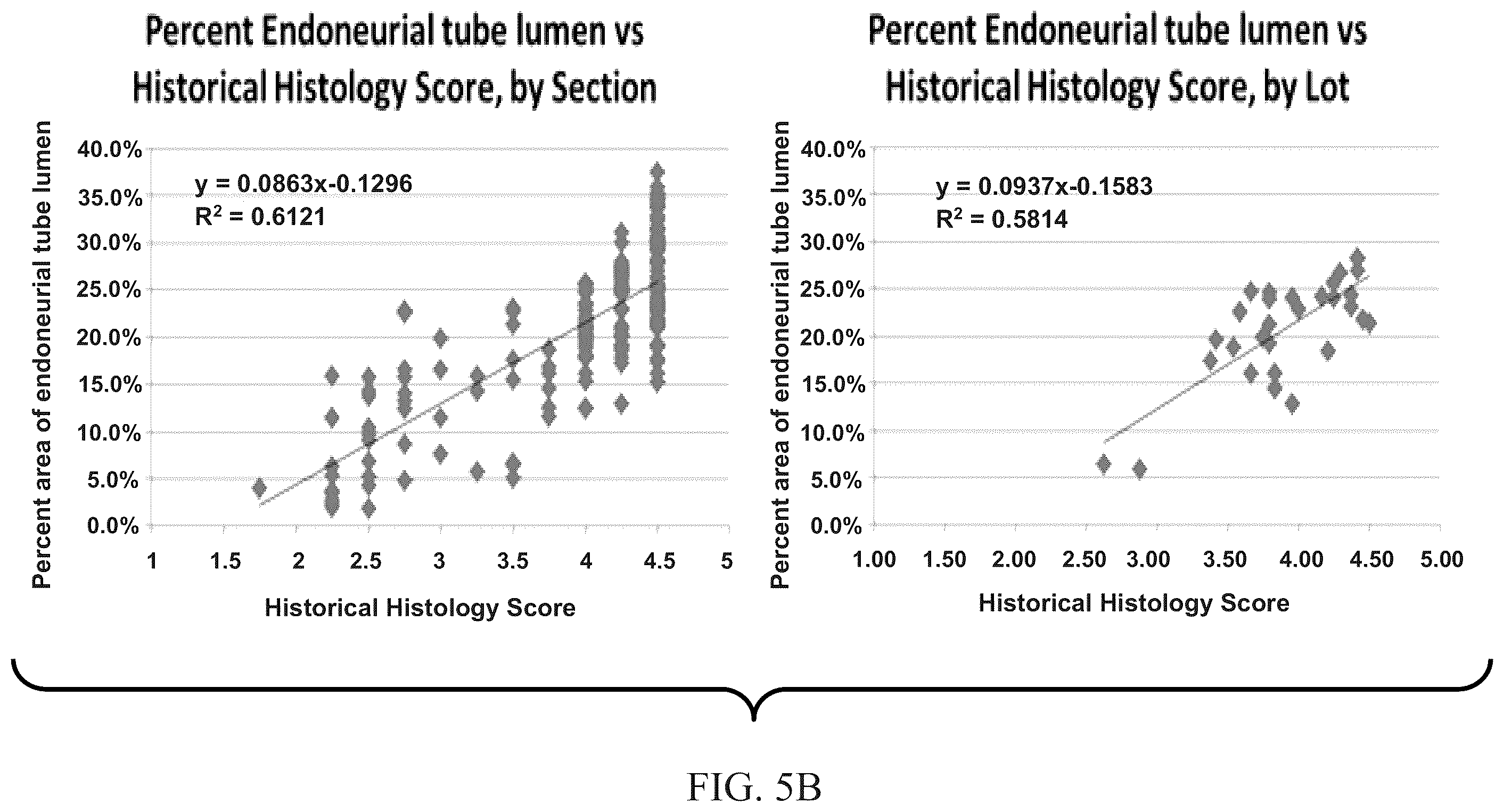 Patent US11847844 Figure 6 – Quantitative structural assay of a nerve graft