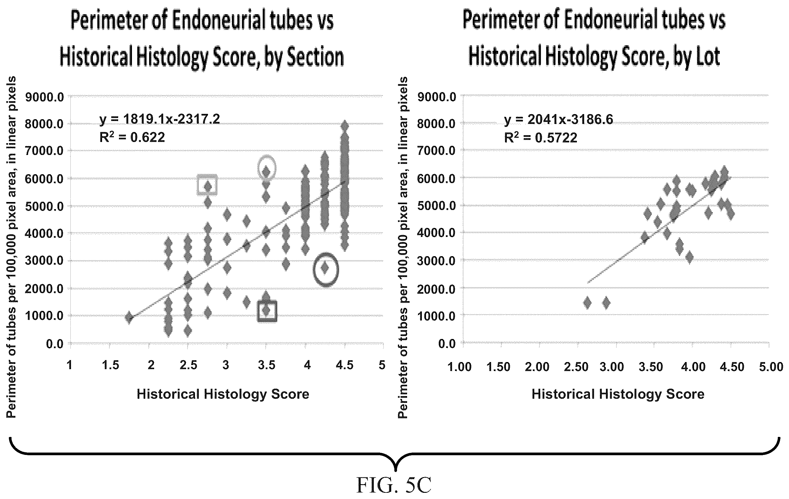 Patent US11847844 Figure 7 – Quantitative structural assay of a nerve graft