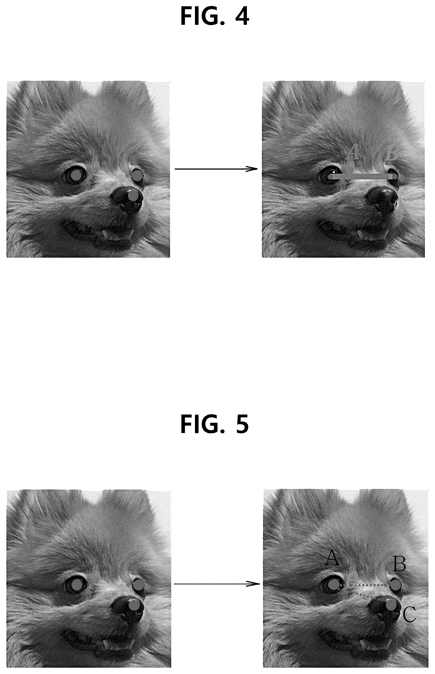 Patent US11847849 Figure 4 – System and method for companion animal identification based on artificial intelligence