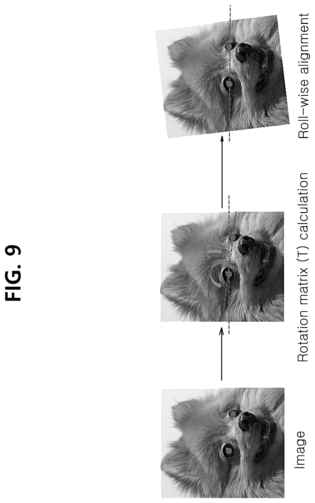 Patent US11847849 Figure 10 – System and method for companion animal identification based on artificial intelligence