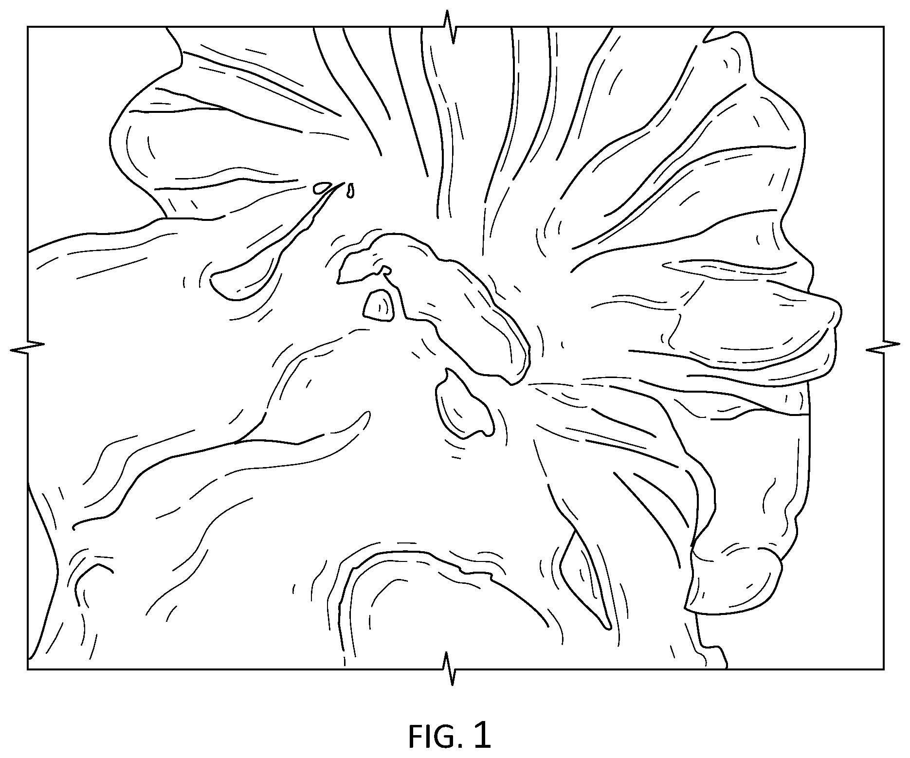 Patent US11847932 Figure 1 – Modified animal organs for use in surgical simulators