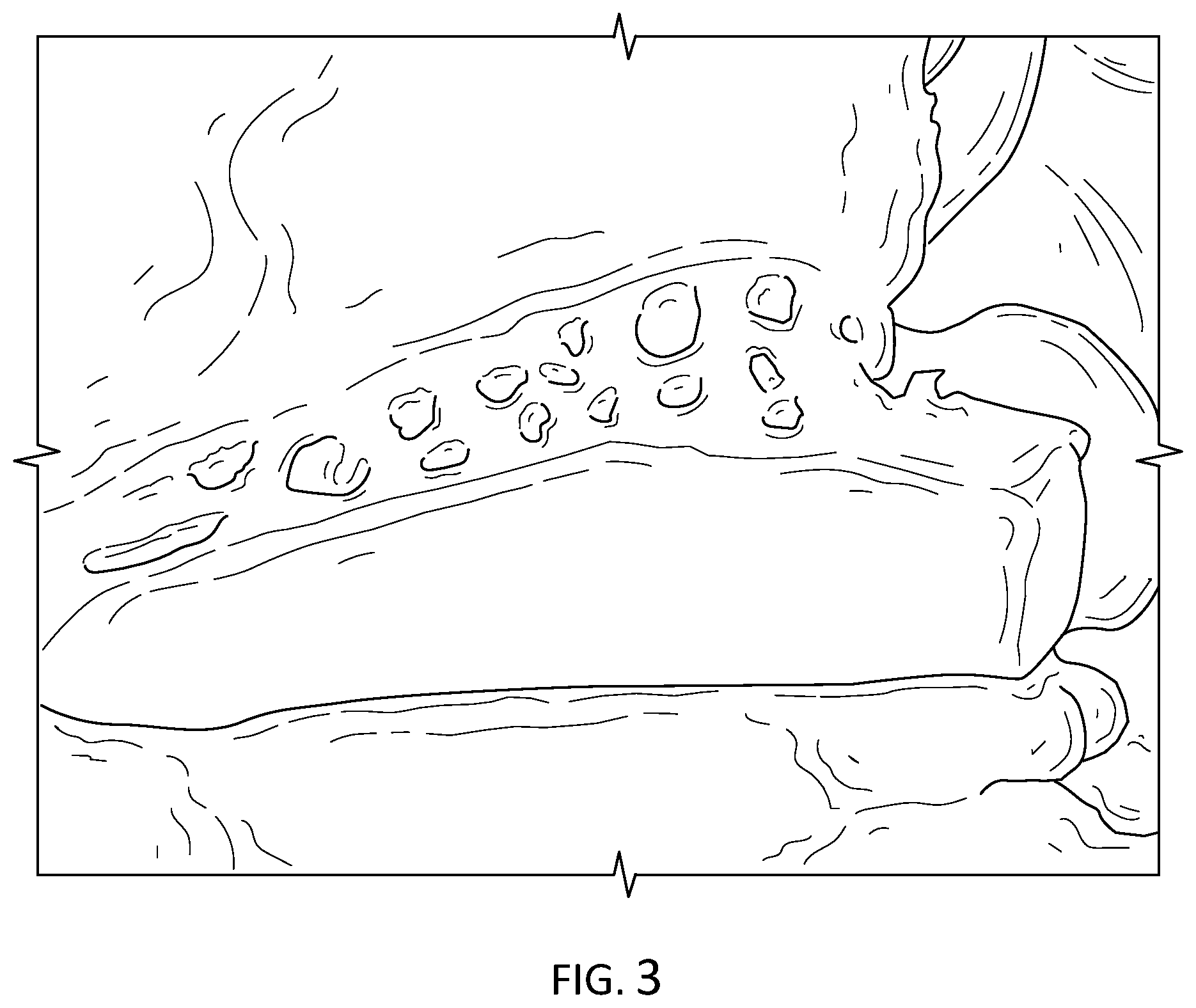Patent US11847932 Figure 4 – Modified animal organs for use in surgical simulators