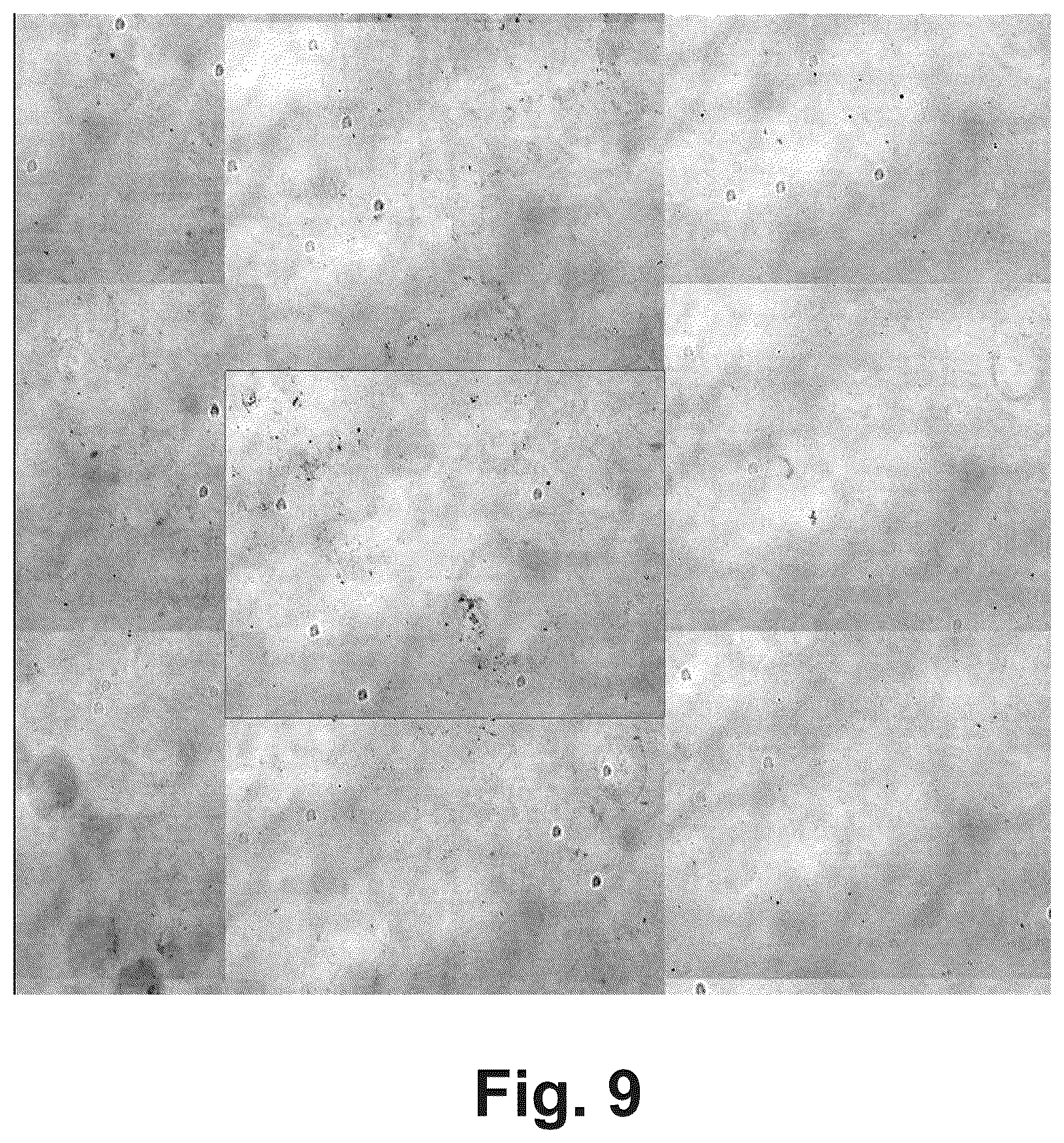 Patent US11854168 Figure 6 – Artifacts removal from tissue images
