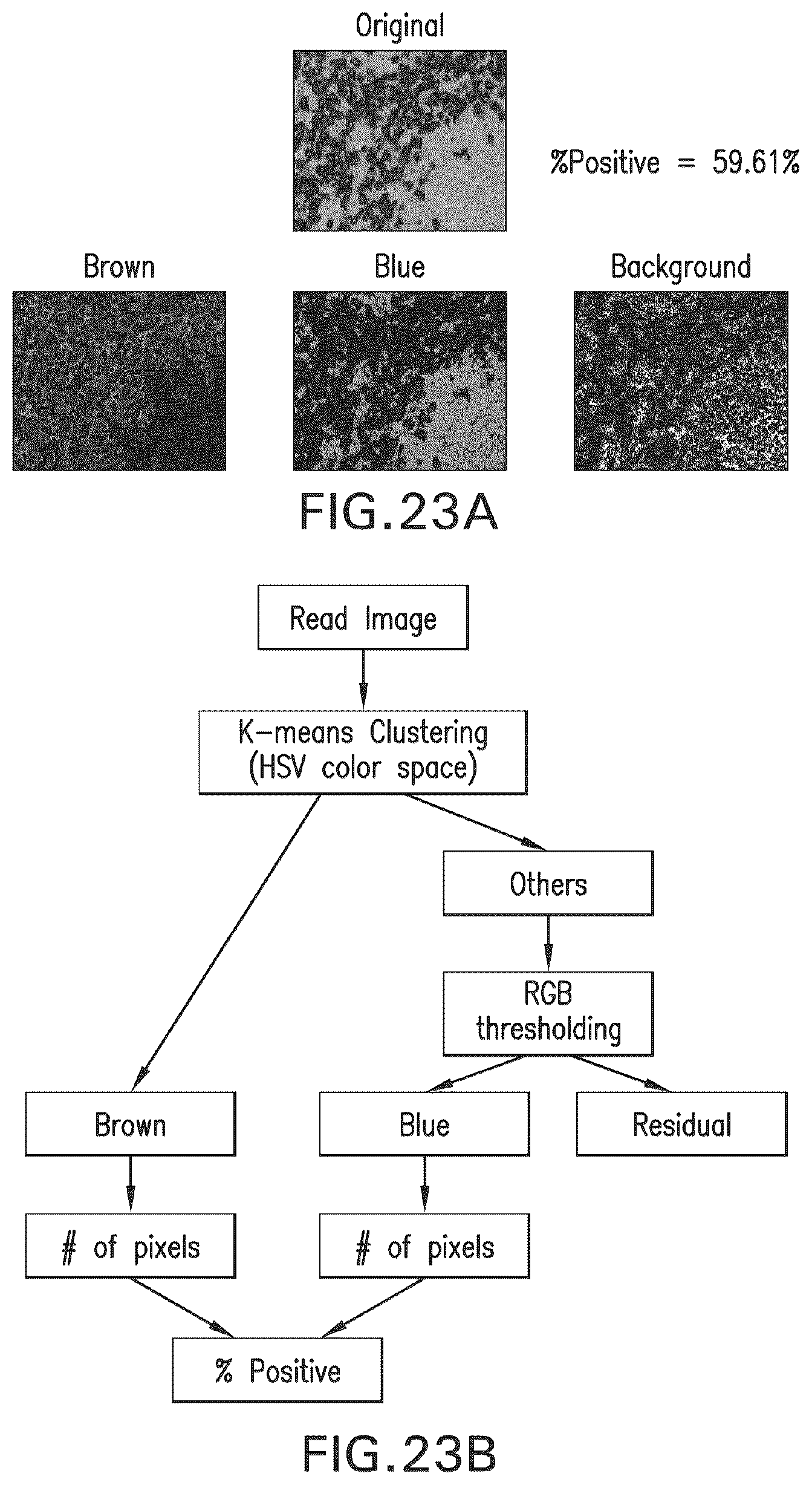 Patent US11854196 Figure 19 – System and method for real time assay monitoring