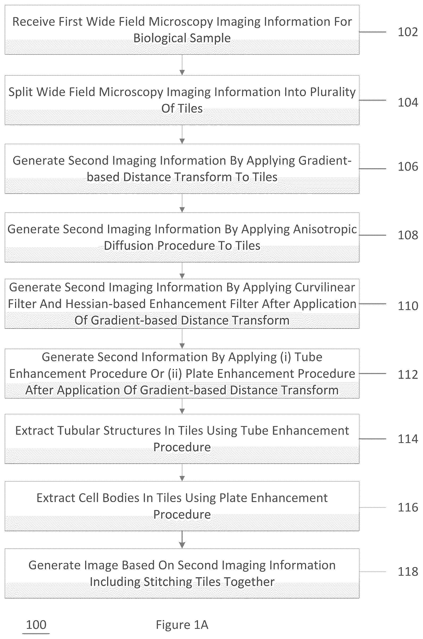 Patent US11854281 Figure 1 – System, method, and computer-accessible medium for processing brain images and extracting neuronal structures