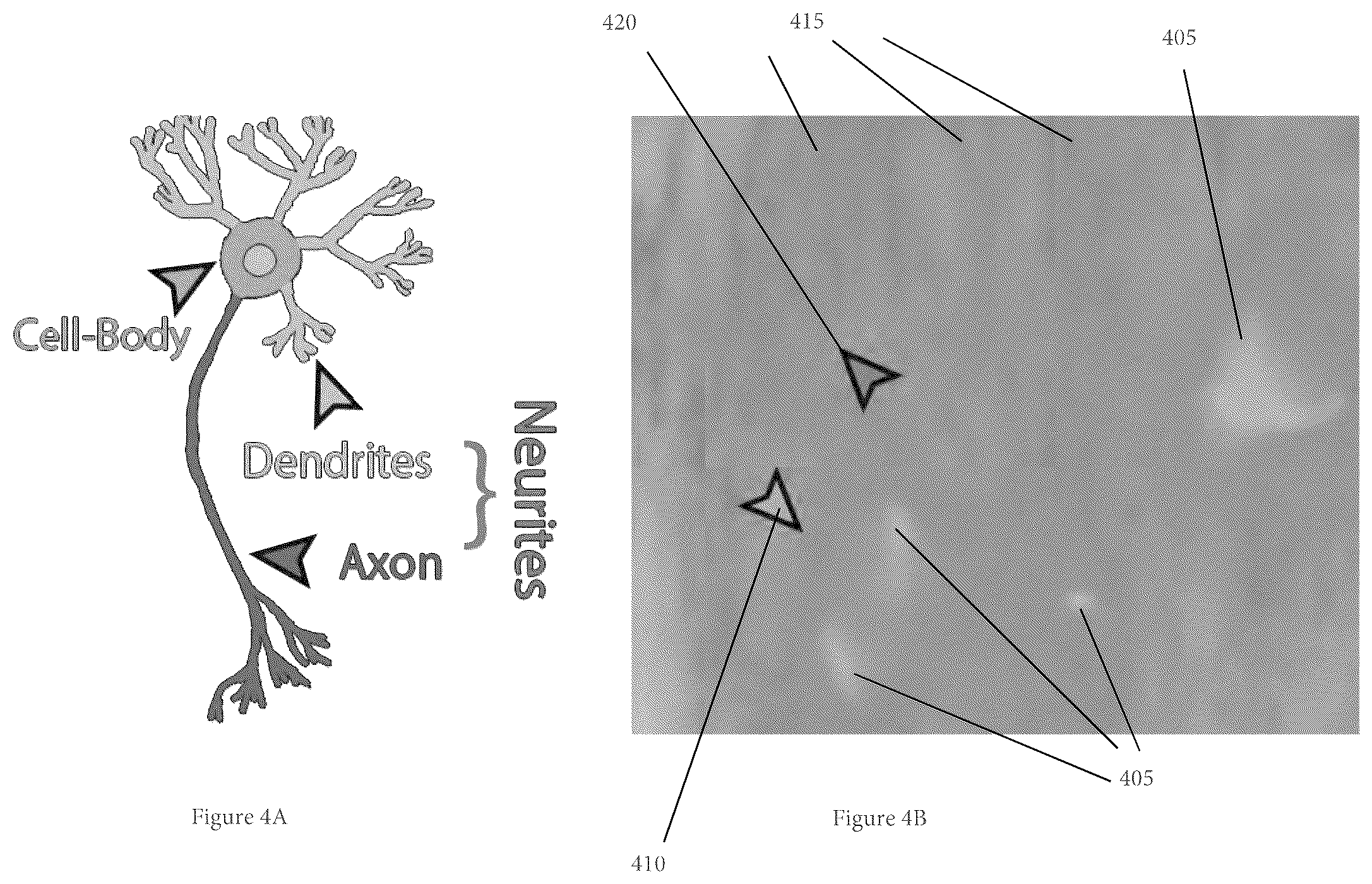 Patent US11854281 Figure 6 – System, method, and computer-accessible medium for processing brain images and extracting neuronal structures