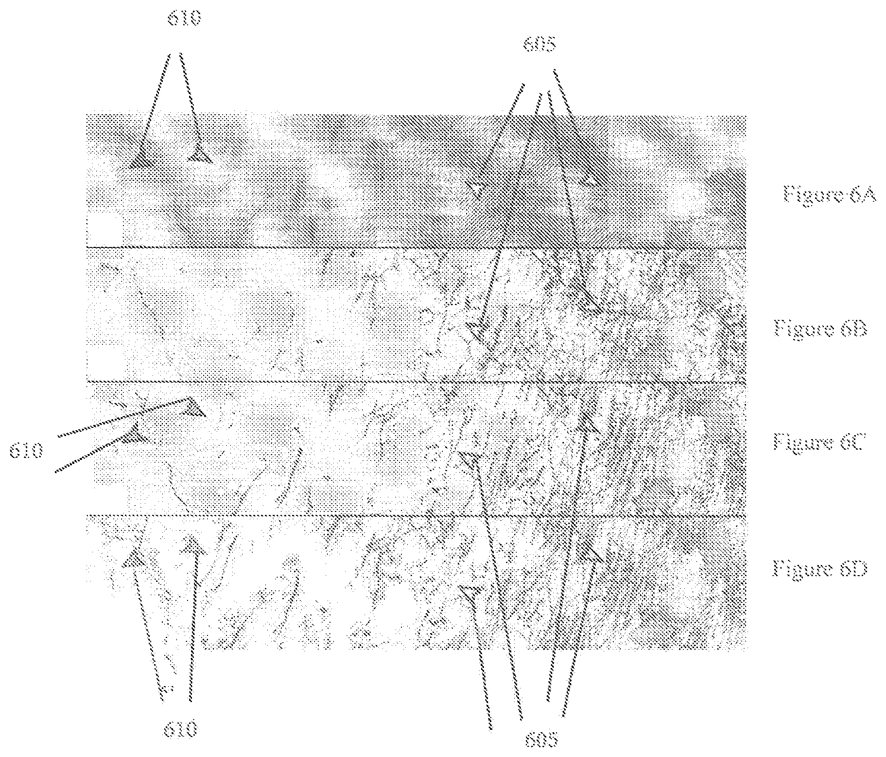 Patent US11854281 Figure 8 – System, method, and computer-accessible medium for processing brain images and extracting neuronal structures