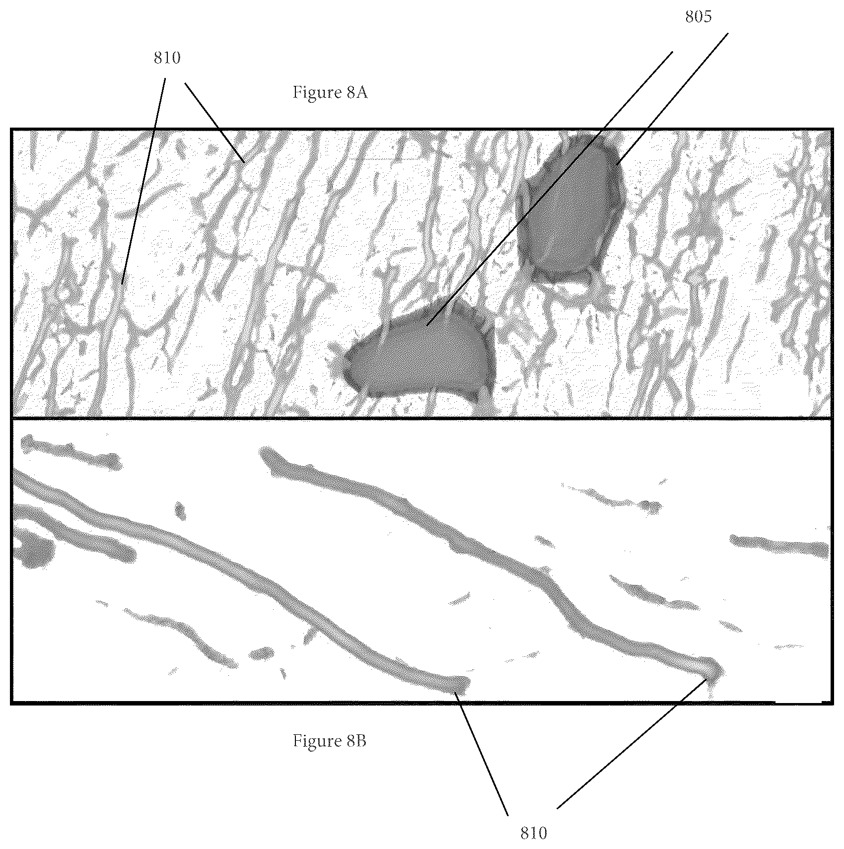 Patent US11854281 Figure 10 – System, method, and computer-accessible medium for processing brain images and extracting neuronal structures