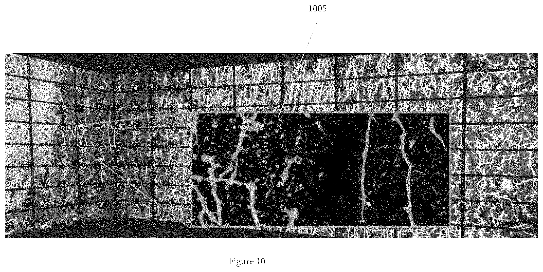 Patent US11854281 Figure 12 – System, method, and computer-accessible medium for processing brain images and extracting neuronal structures