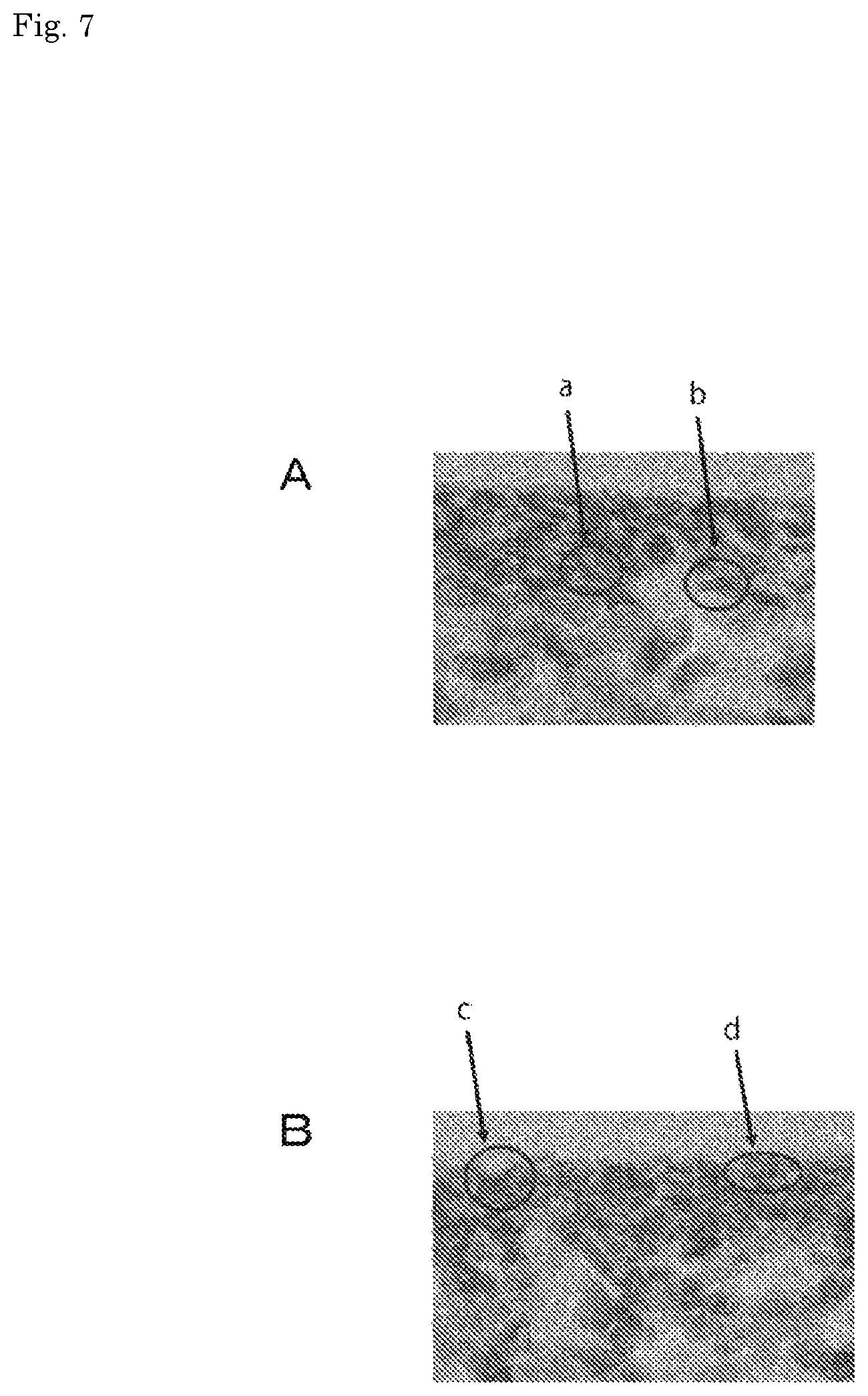 Patent US11854585 Figure 7 – Magnetic recording medium and cartridge