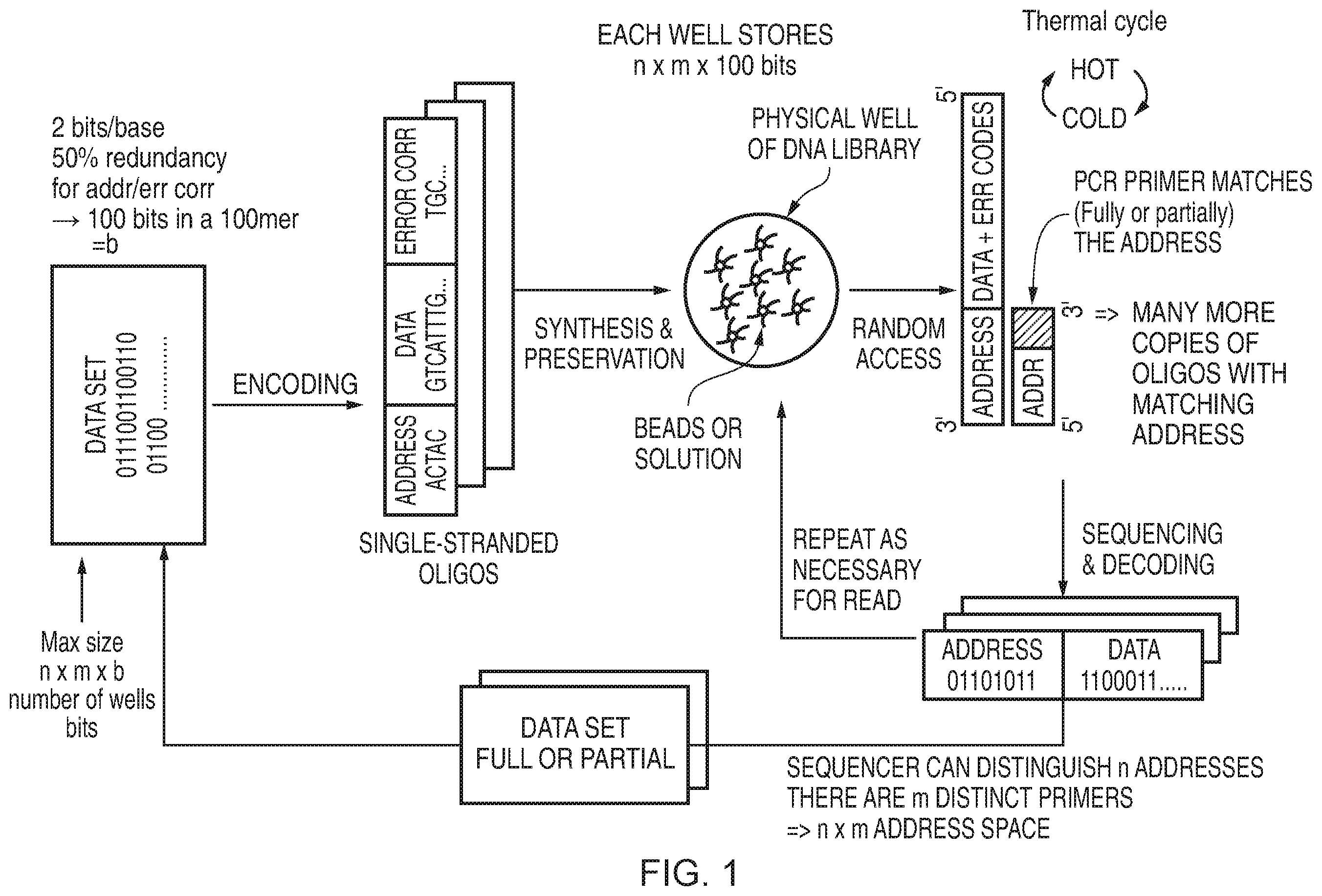 Patent US11854668 Figure 1 – Accessing data storage provided using double-stranded nucleic acid molecules