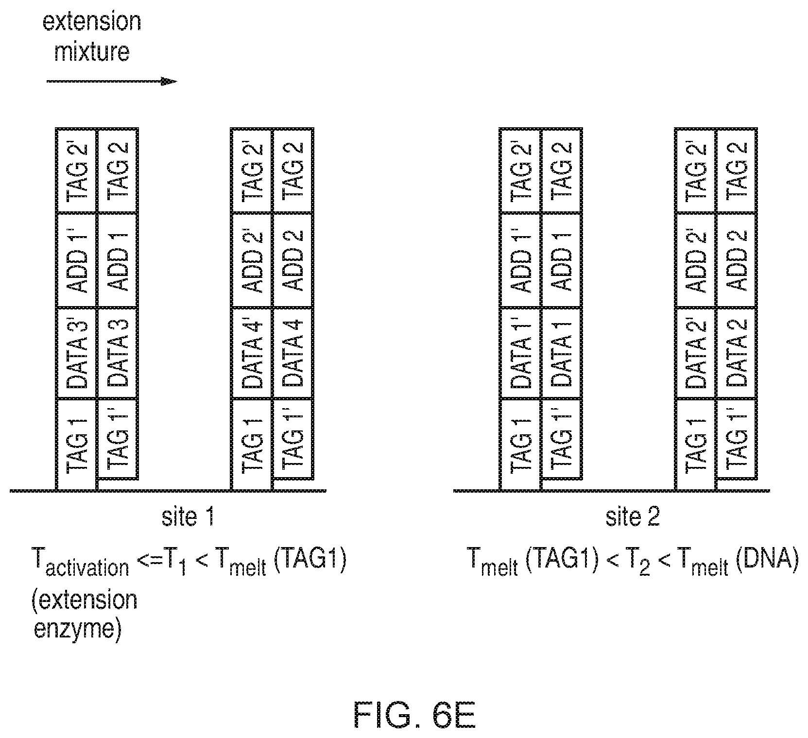 Patent US11854668 Figure 7 – Accessing data storage provided using double-stranded nucleic acid molecules