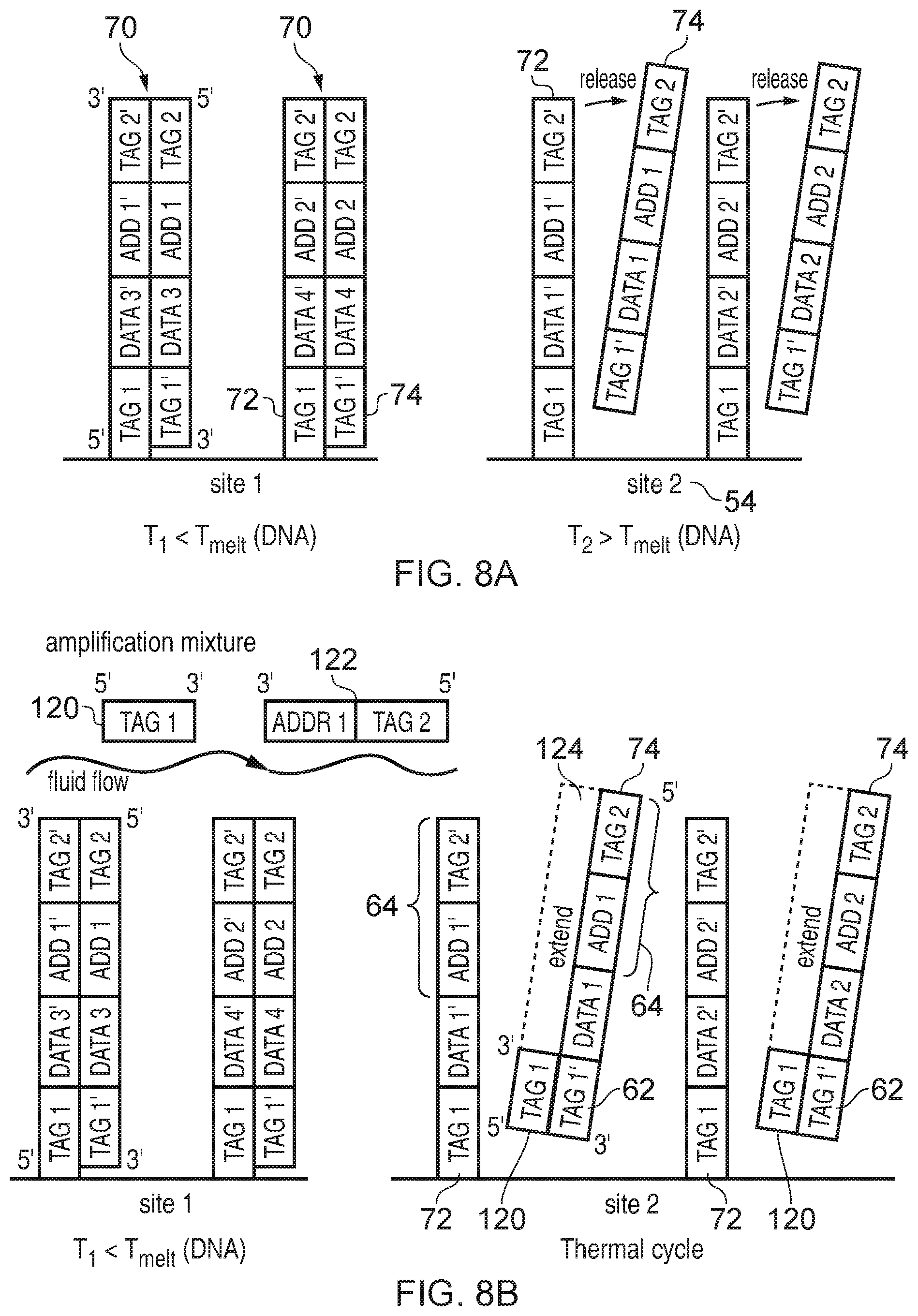Patent US11854668 Figure 9 – Accessing data storage provided using double-stranded nucleic acid molecules
