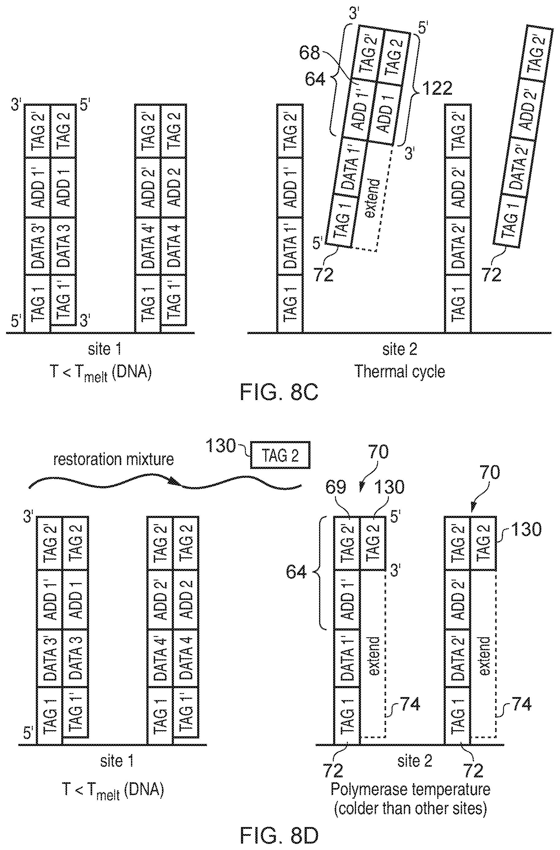 Patent US11854668 Figure 10 – Accessing data storage provided using double-stranded nucleic acid molecules