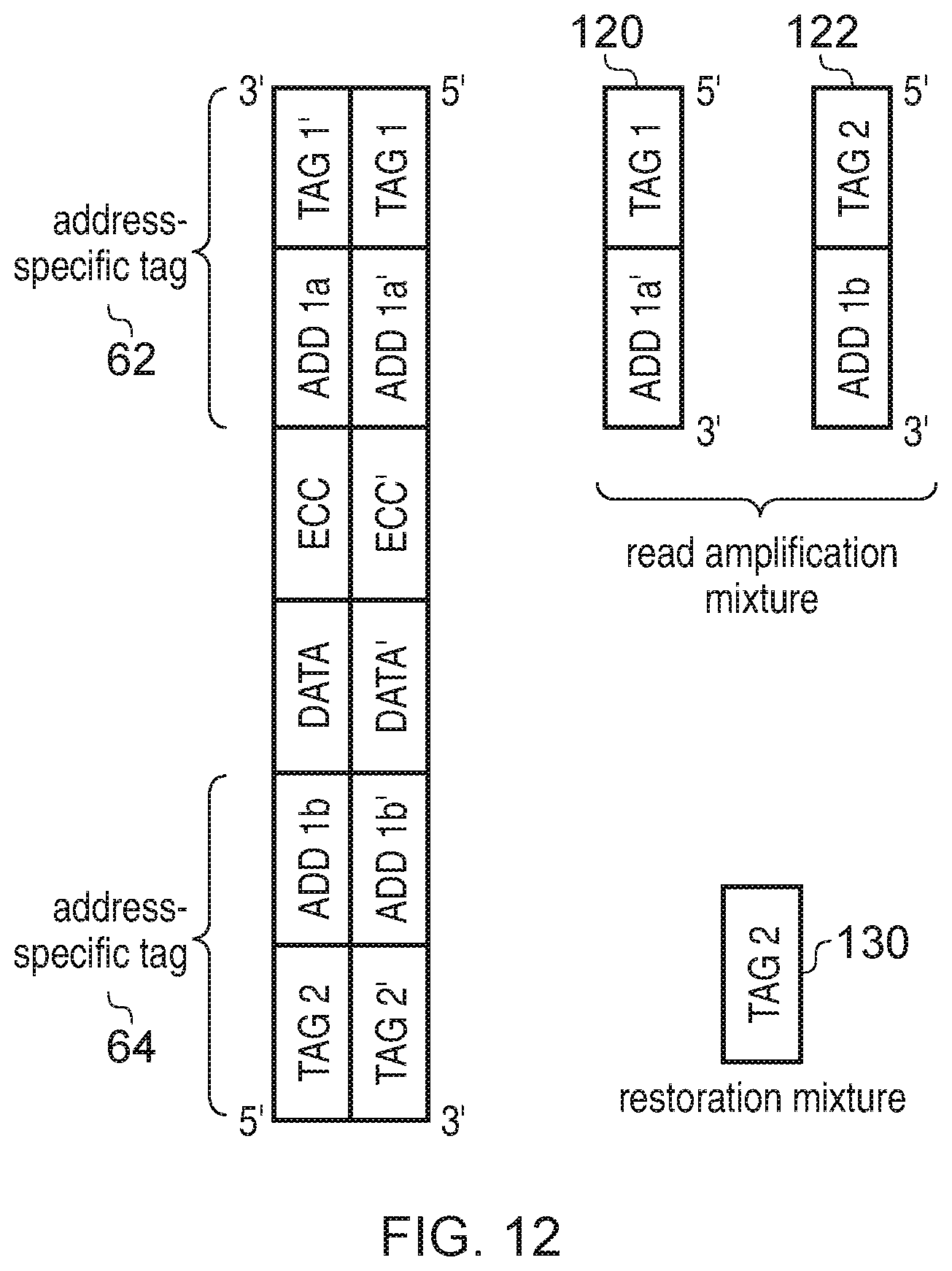Patent US11854668 Figure 13 – Accessing data storage provided using double-stranded nucleic acid molecules