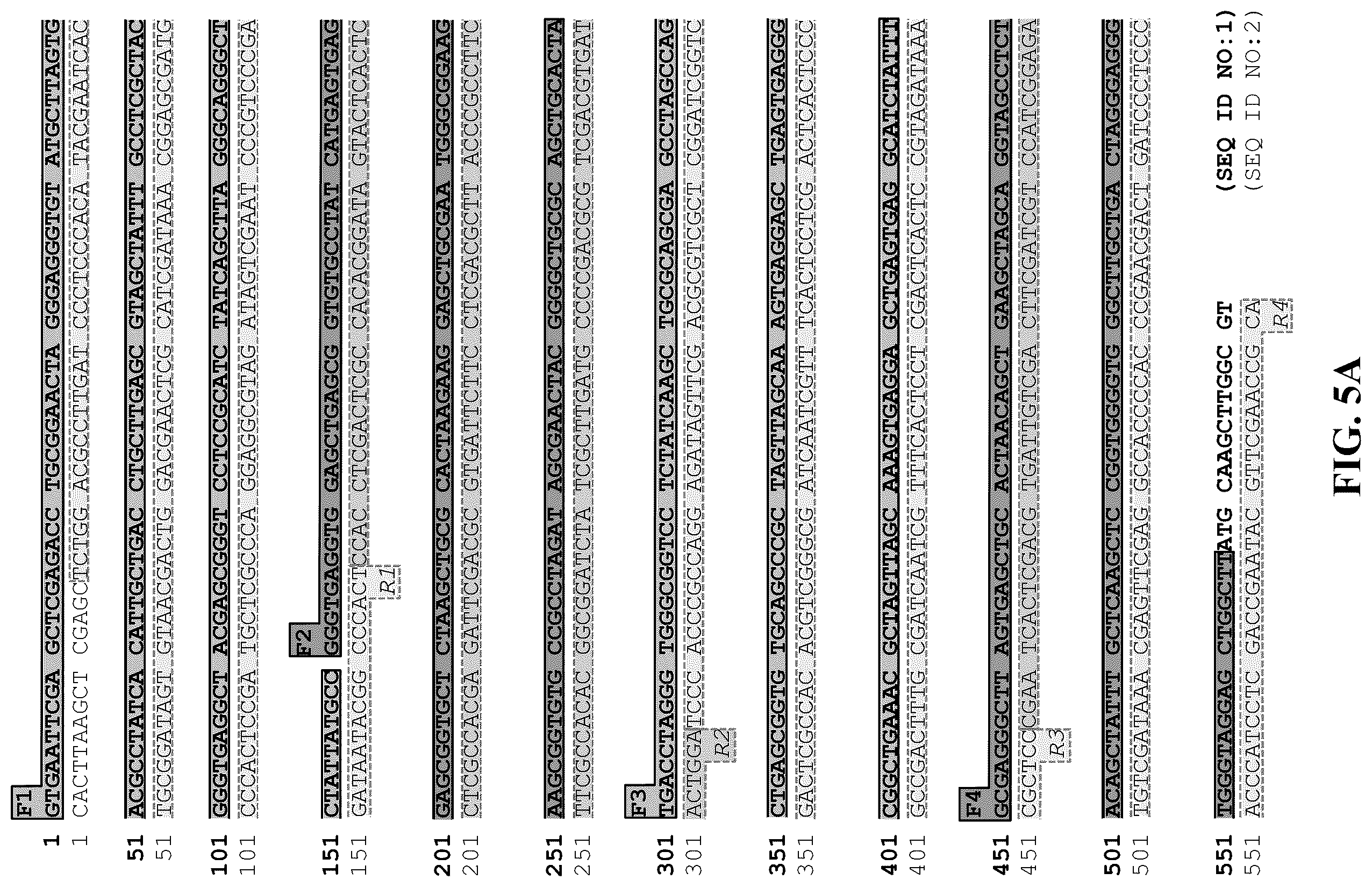 Patent US11854669 Figure 5 – Synthetic nucleic acids for information storage and transmission