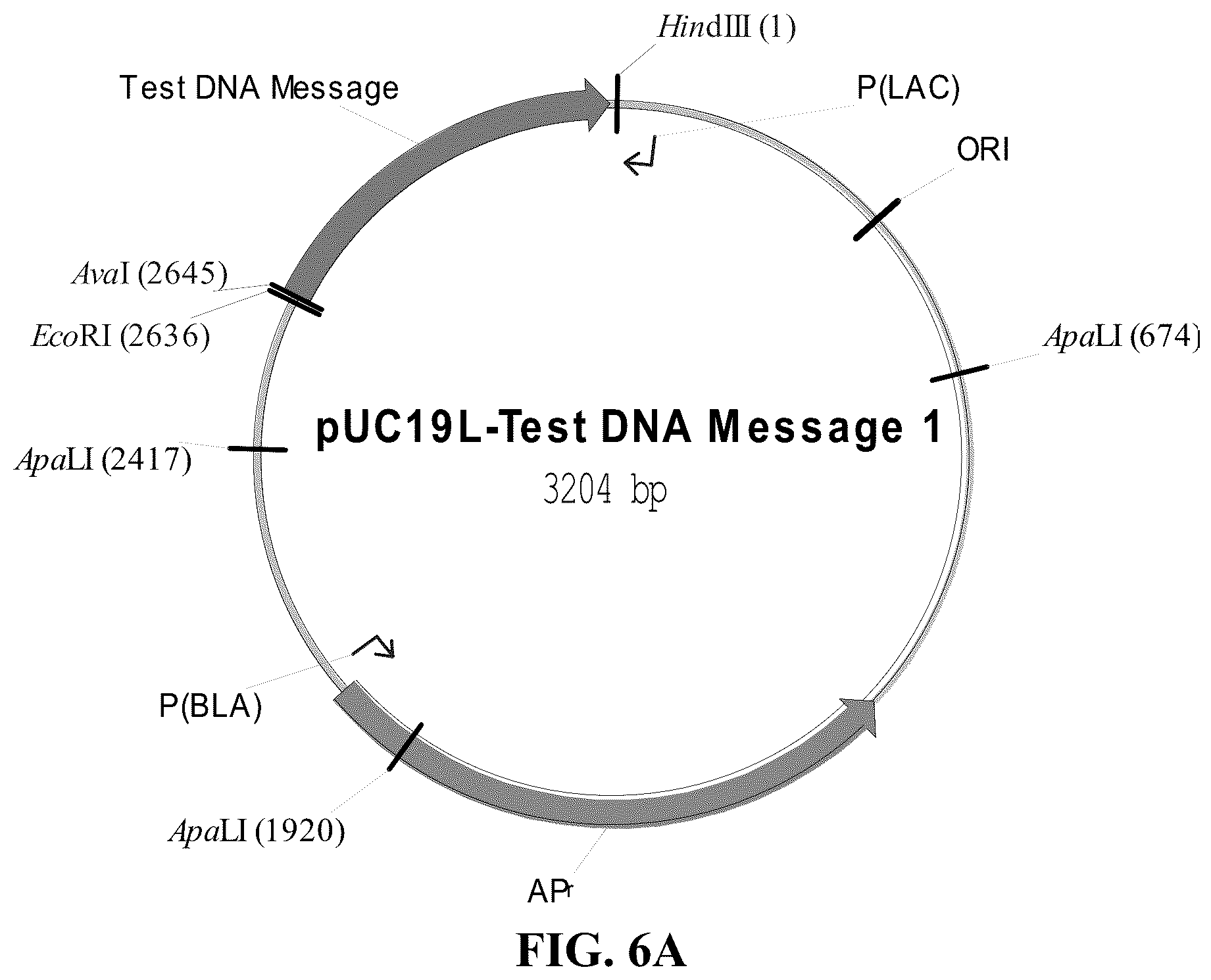 Patent US11854669 Figure 7 – Synthetic nucleic acids for information storage and transmission